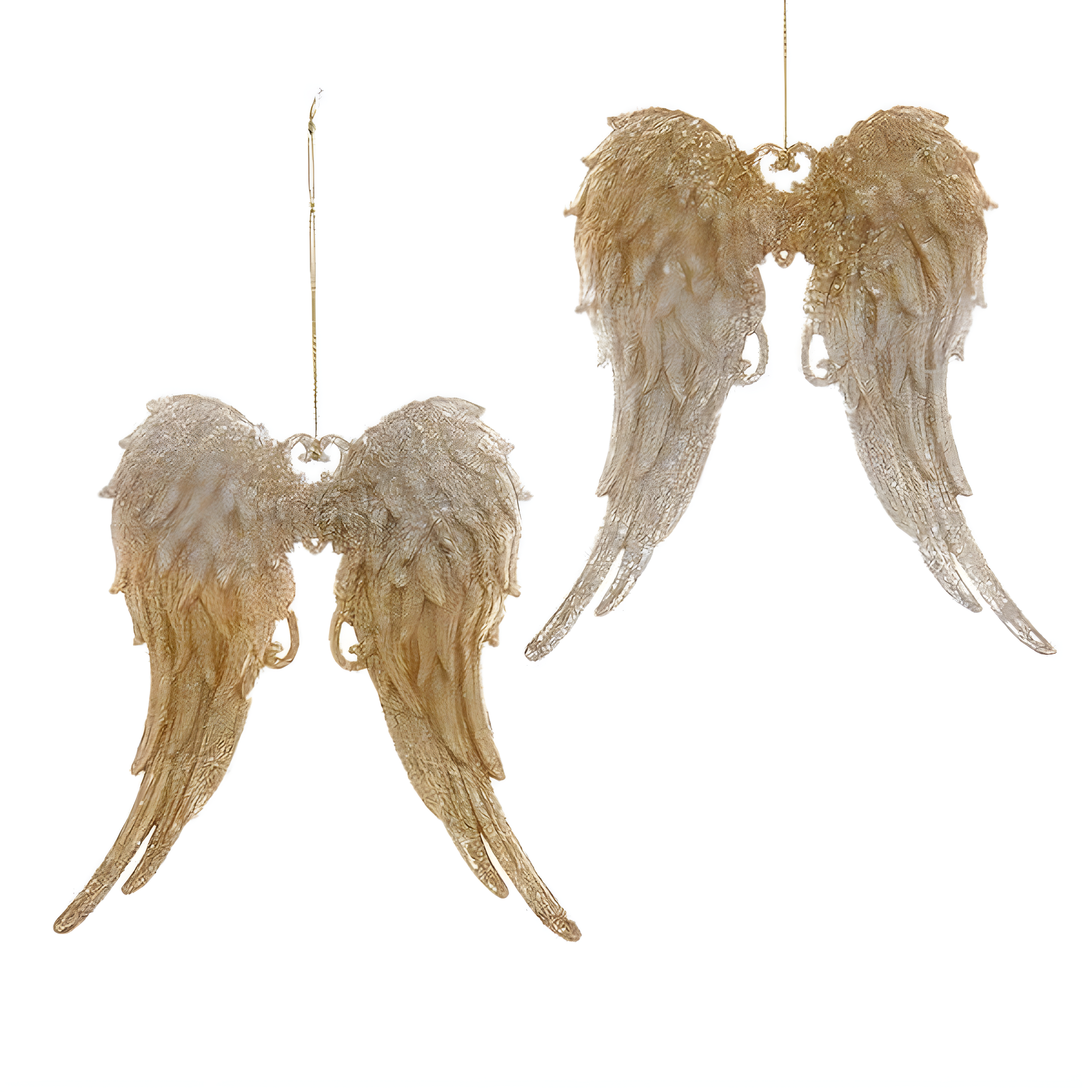 Gold and Silver Glitter Angel Wings Resin Ornaments, Set of 2