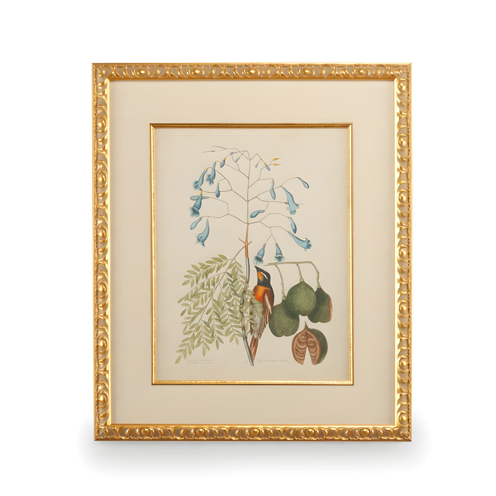 Gold Leaf Framed Bird and Botanical Print