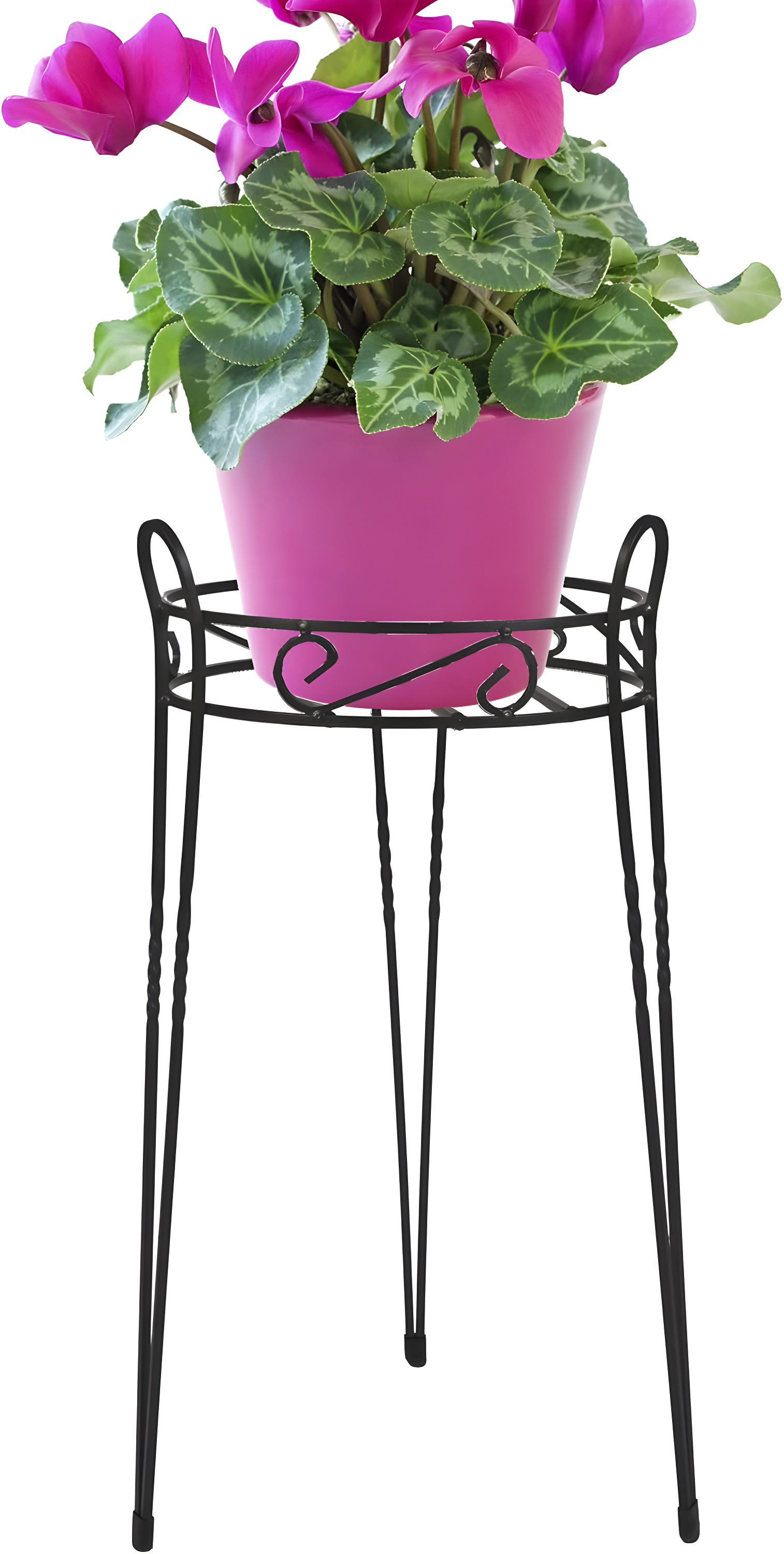 Elegant Canterbury Scroll 21" Black Steel Oval Plant Stand