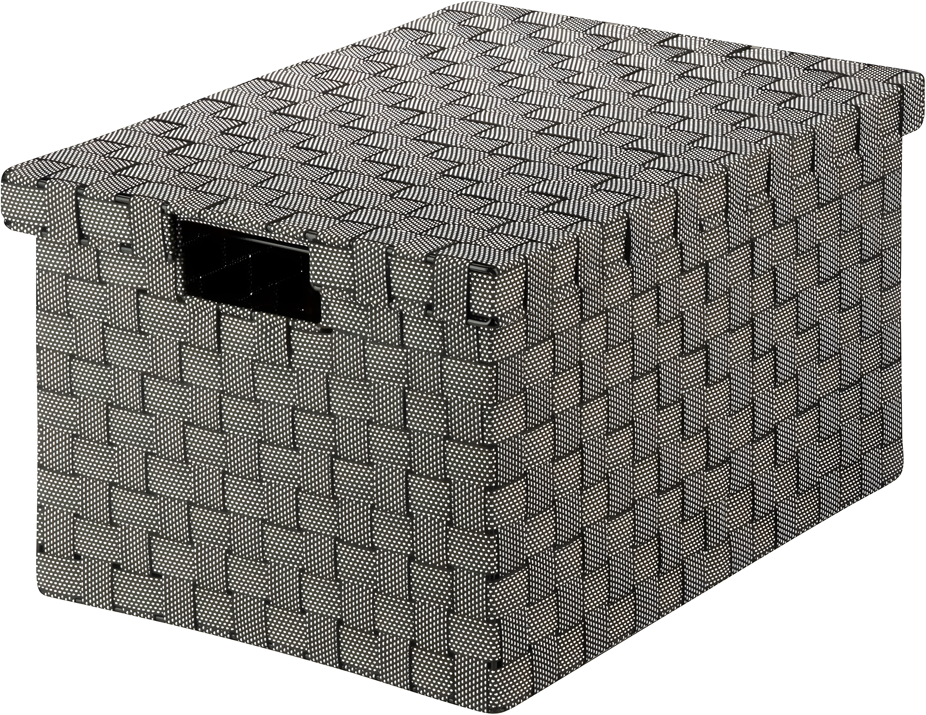 Large Black and White Woven File Storage Box