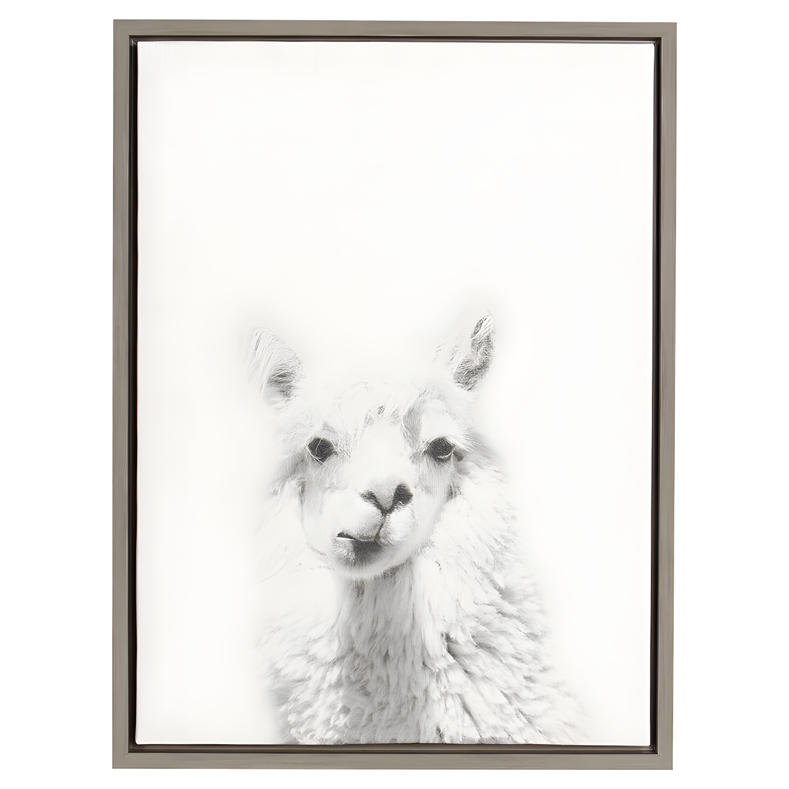 Gray Framed Alpaca Portrait Canvas Art for Nursery