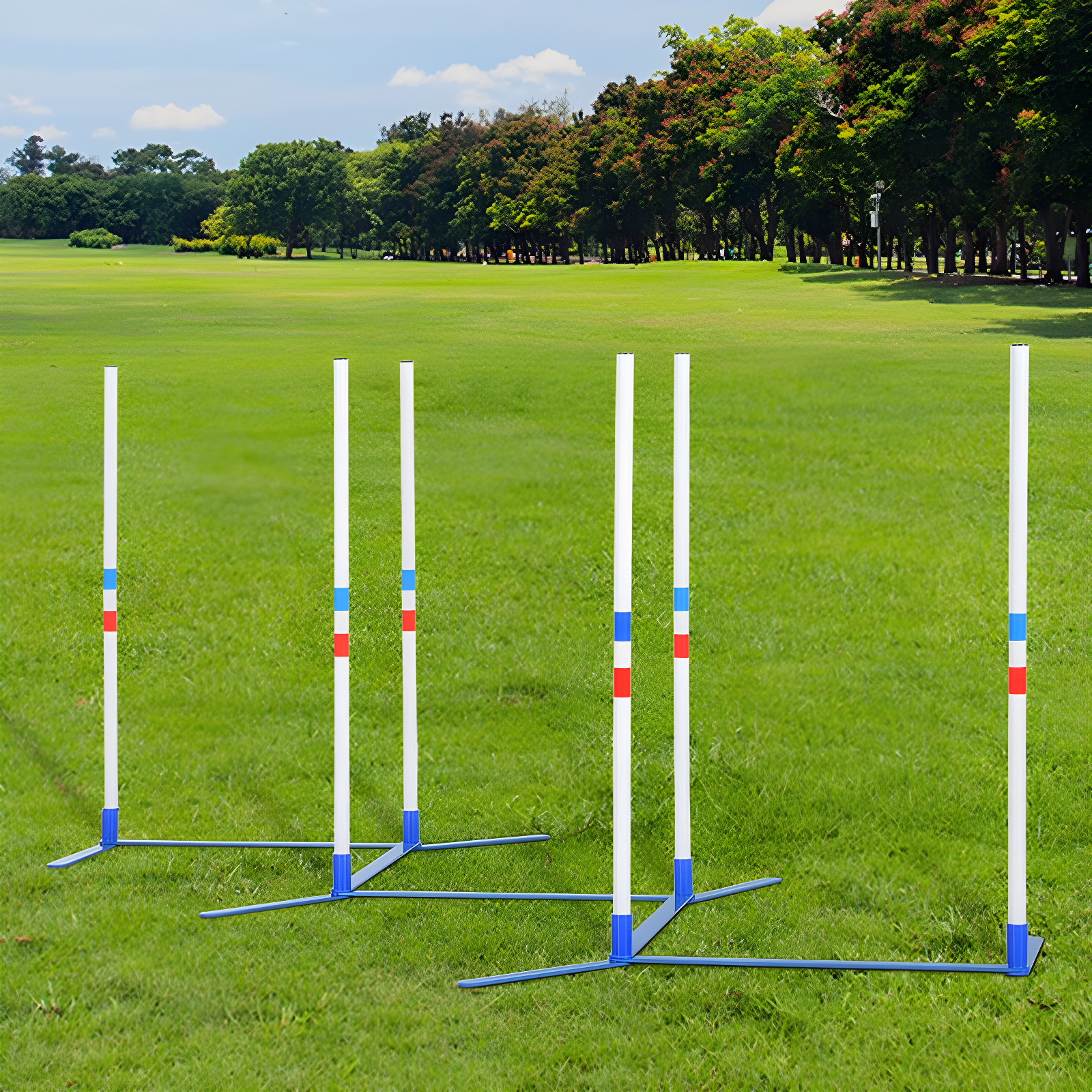 Adjustable Blue and Yellow Dog Agility Training Set