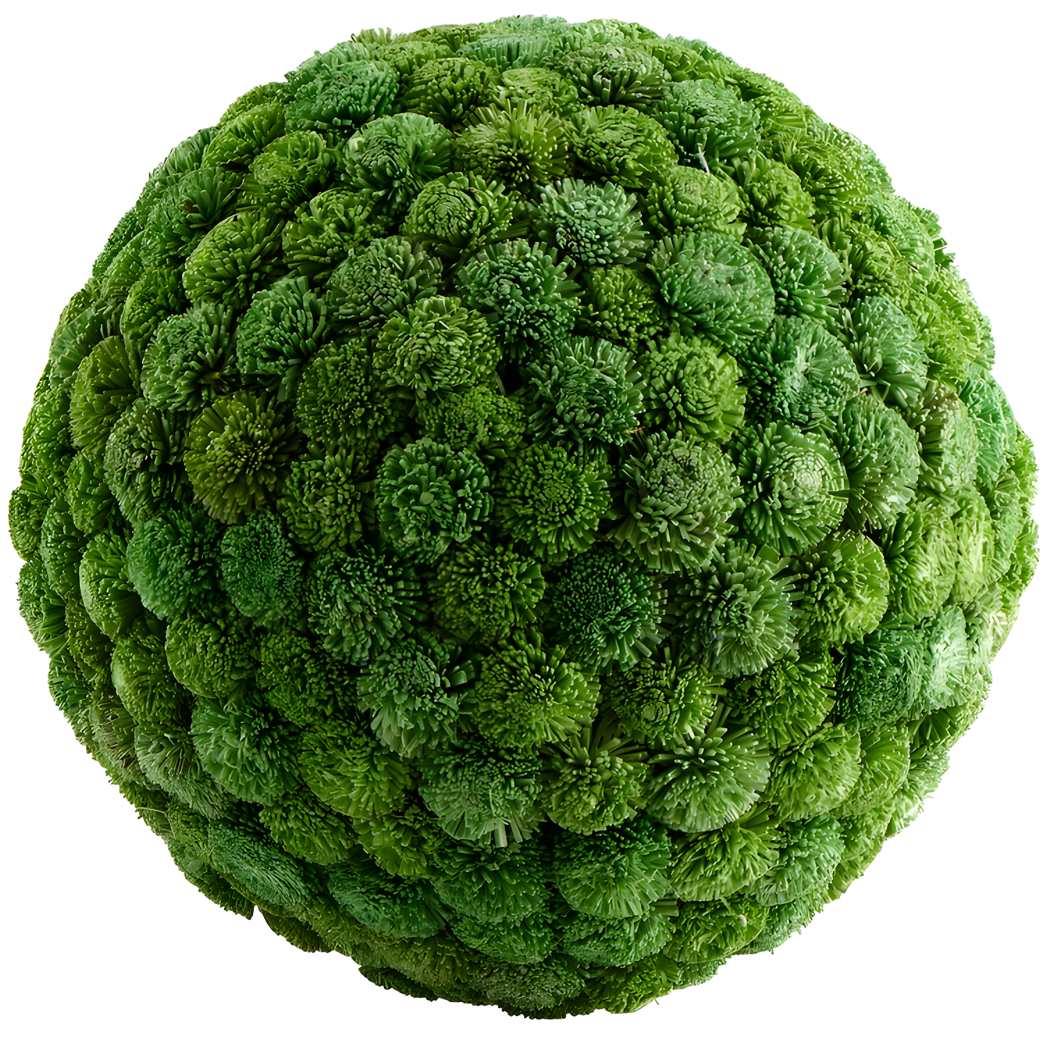 Green Dried Botanicals Outdoor Decorative Sphere