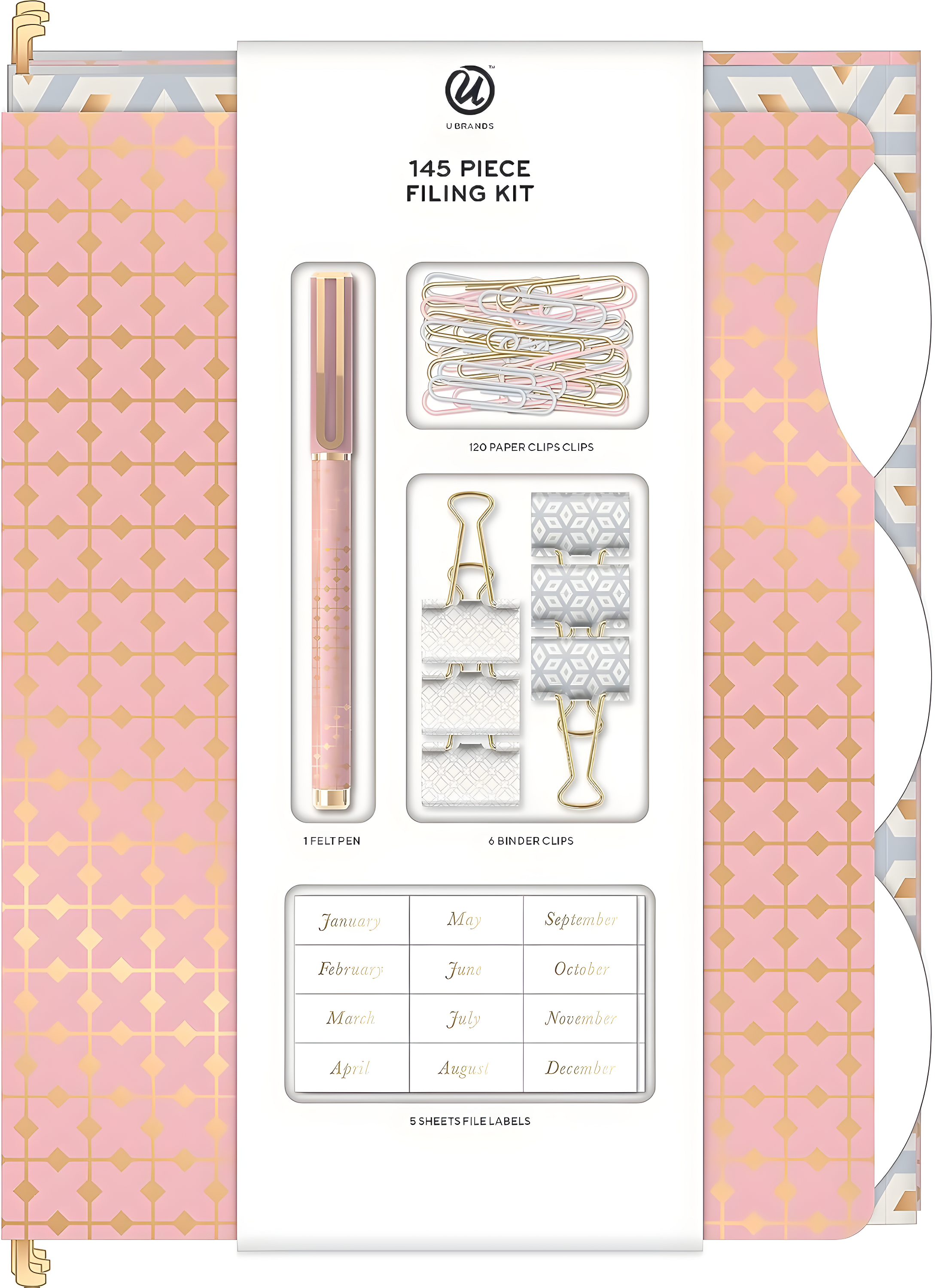 Pink and Gold 145-Piece Filing Kit with Assorted Clips