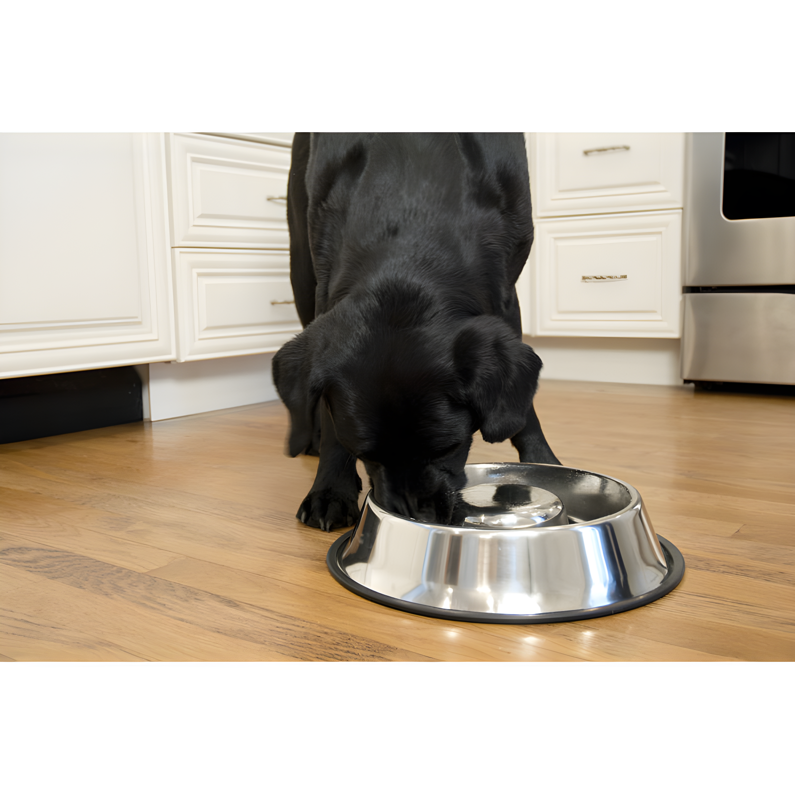 Medium Stainless Steel Anti-Skid Slow Feed Pet Bowl