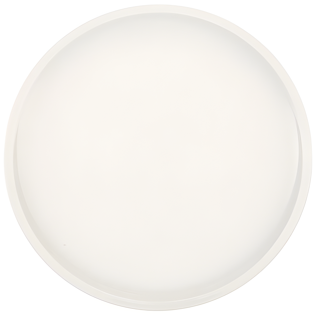 White Porcelain Round 8.5" Salad Plate