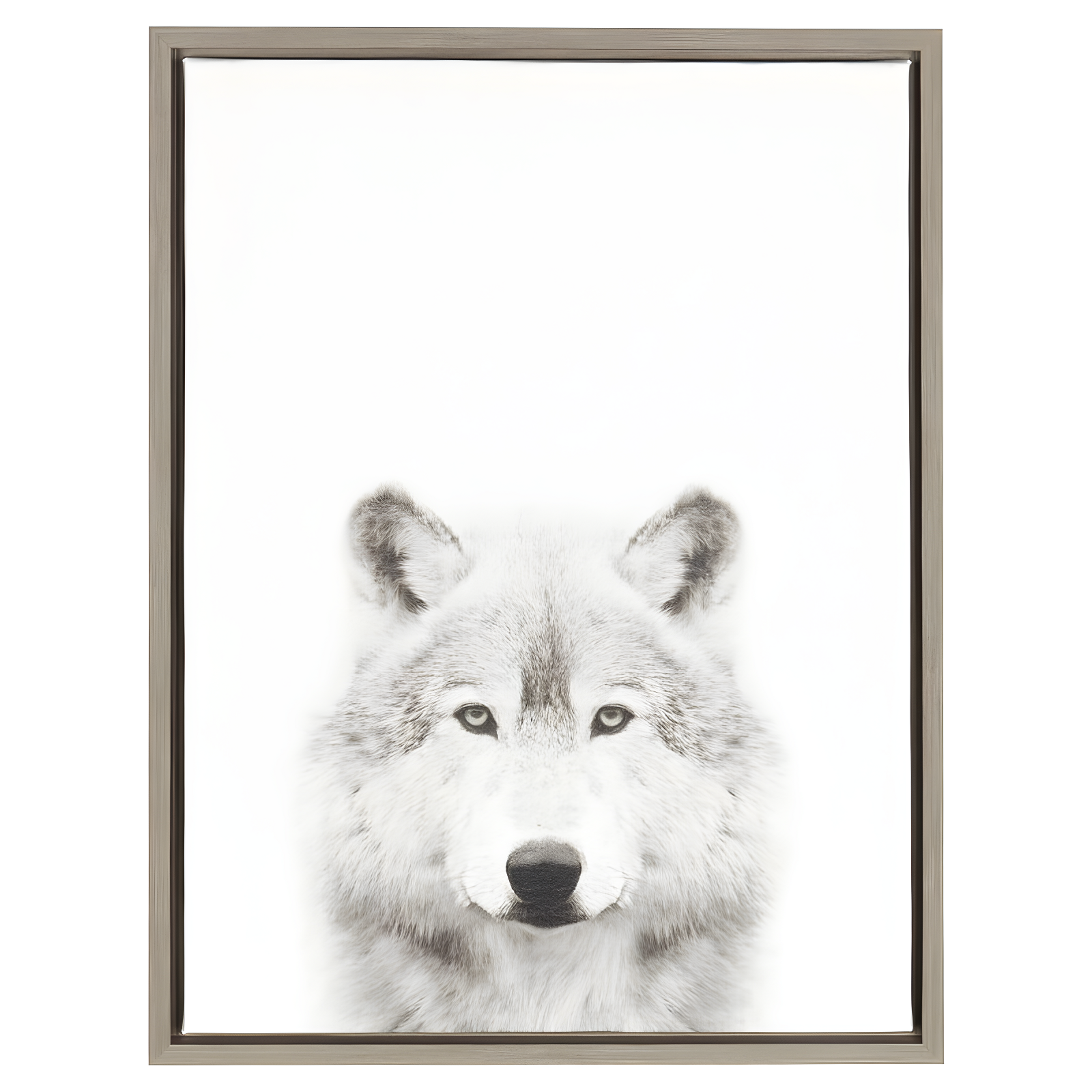 Gray Framed Wolf Canvas Art for Kids