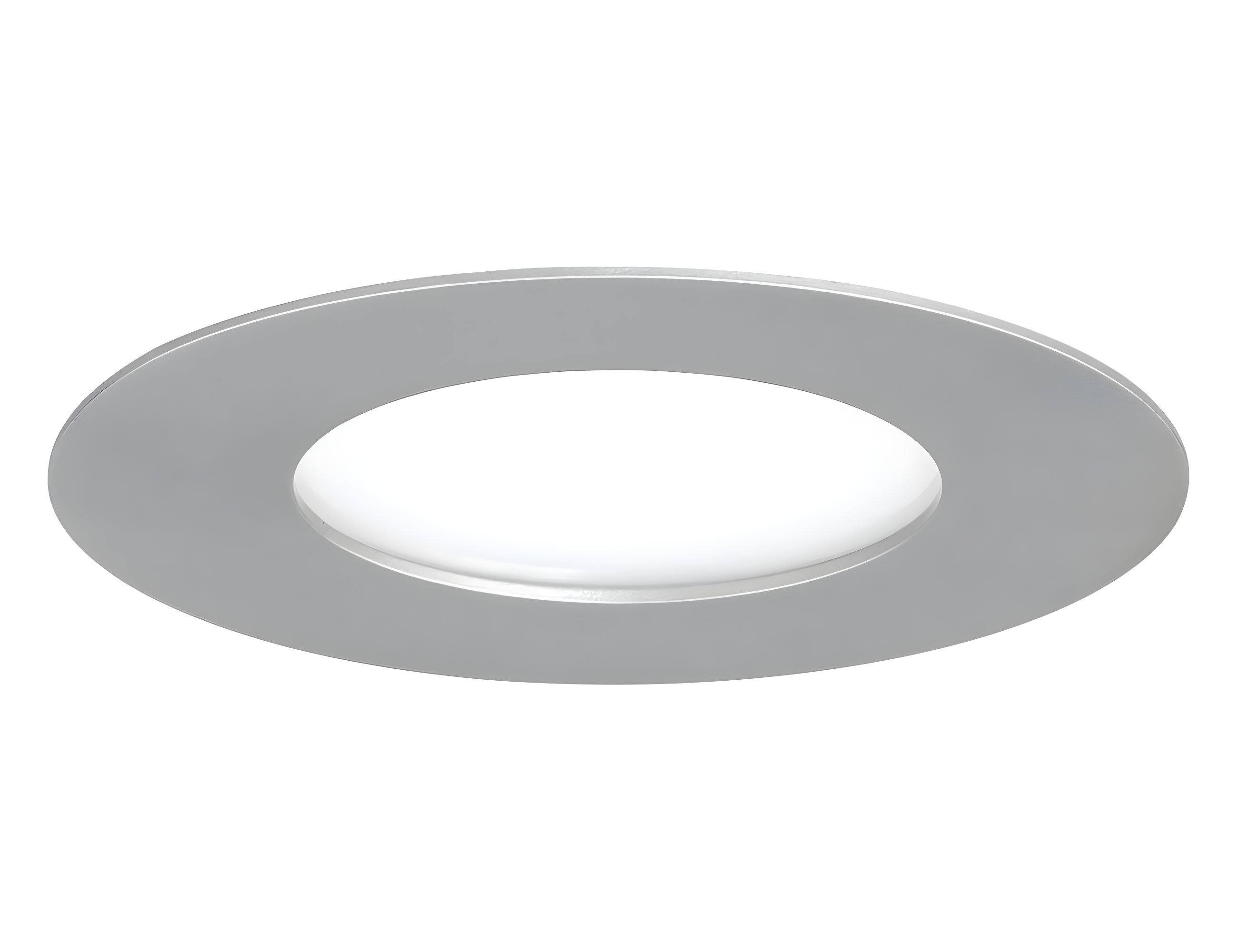 5" Brushed Nickel LED Indoor-Outdoor Recessed Downlight