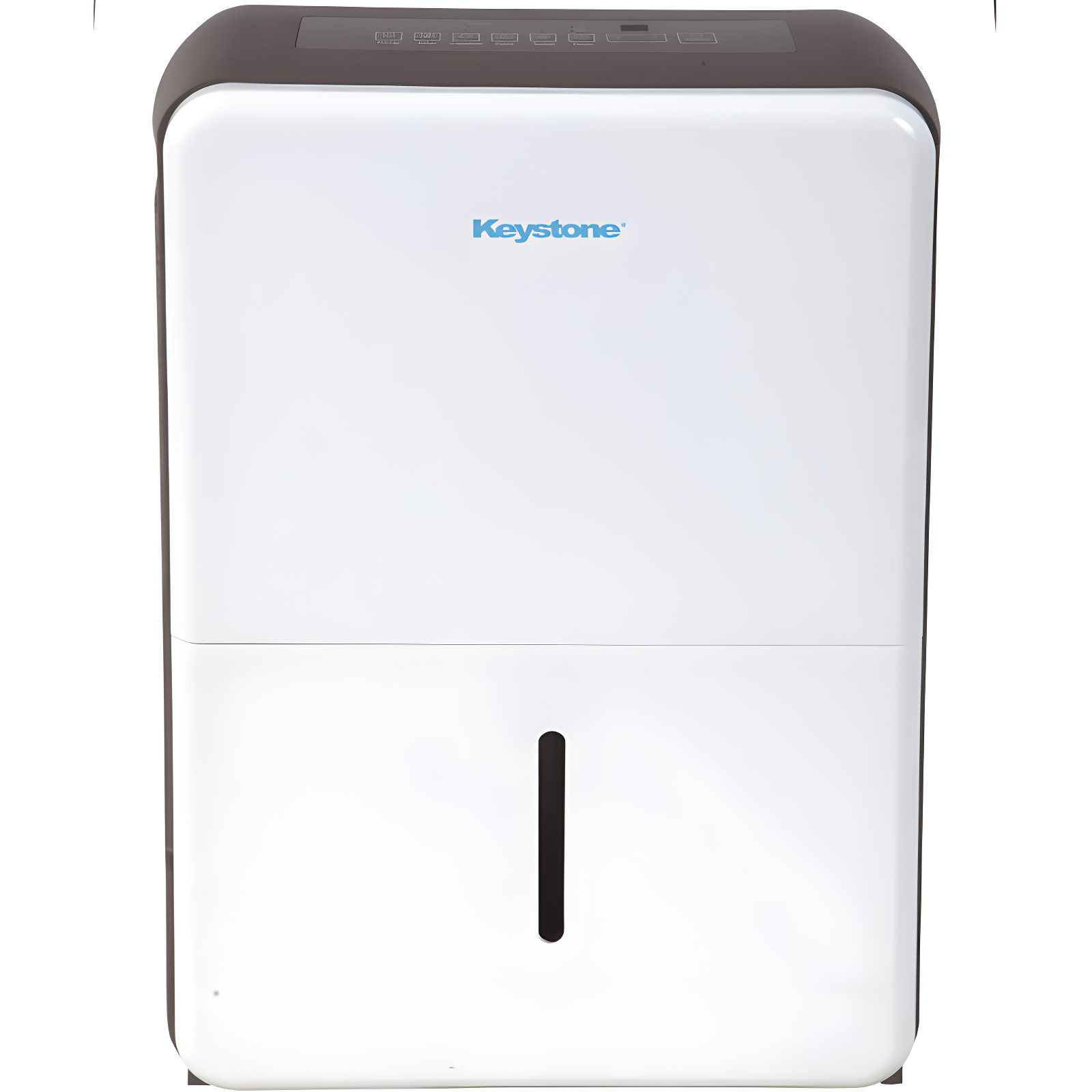 Energy Star White Portable Dehumidifier with Humidistat