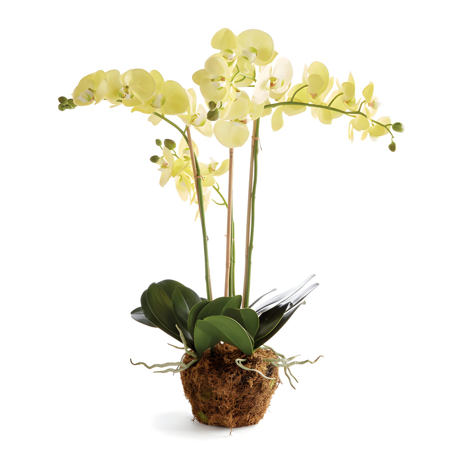 Handcrafted 30" Yellow Orchid in Decorative Pot