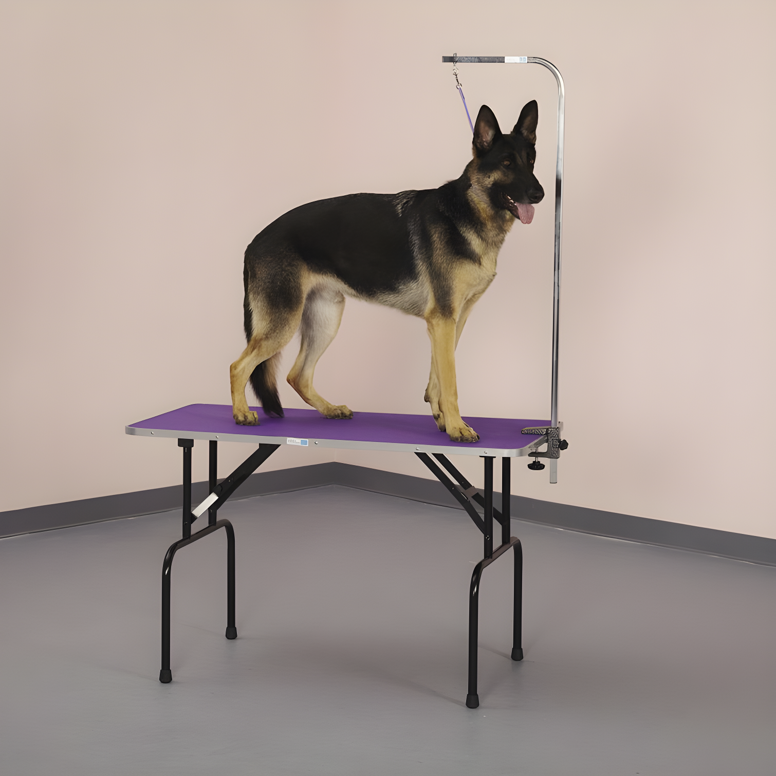 48'' Purple Foldable Dog Grooming Table with Arm