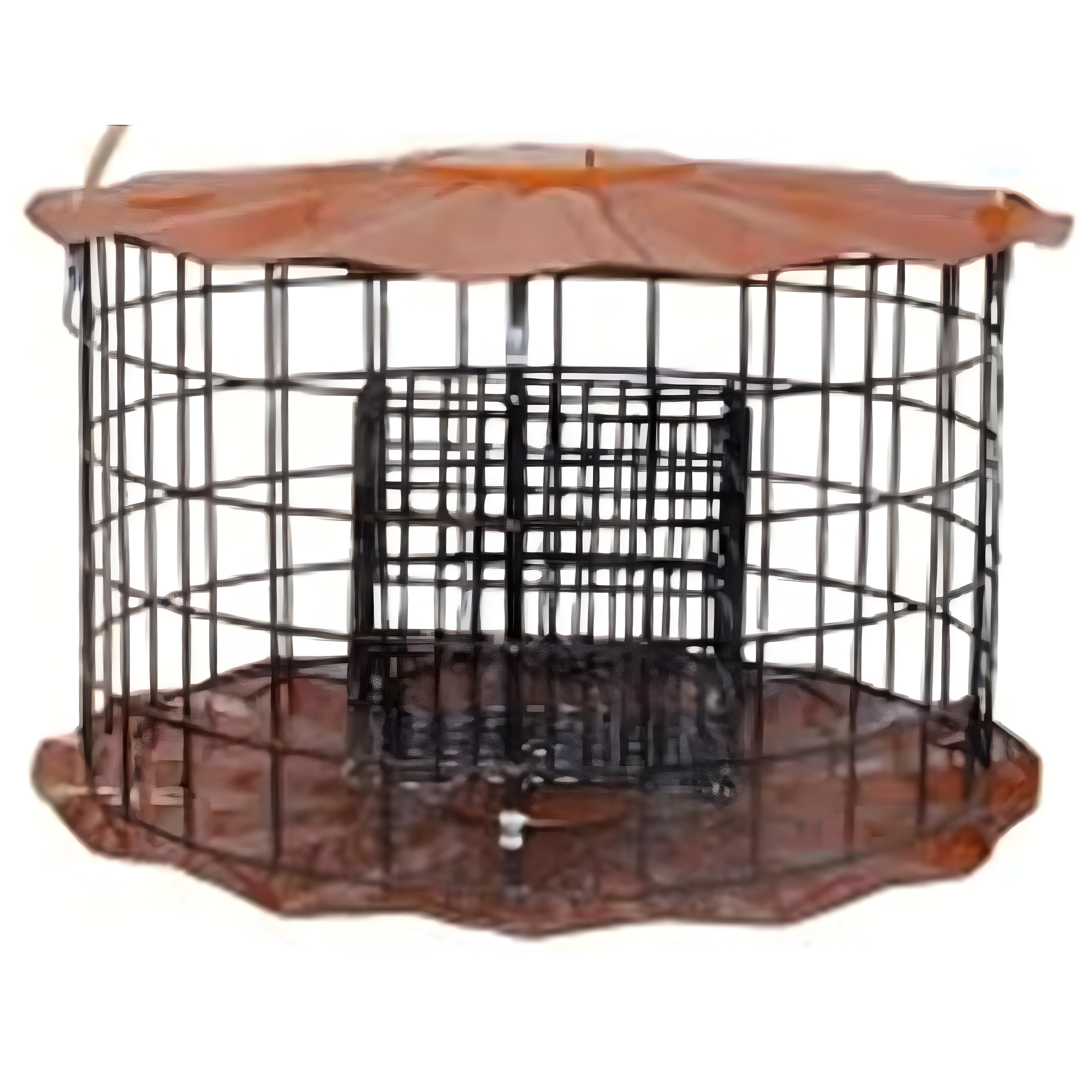 Copper Tint Double Suet Cake Feeder with Metal Mesh