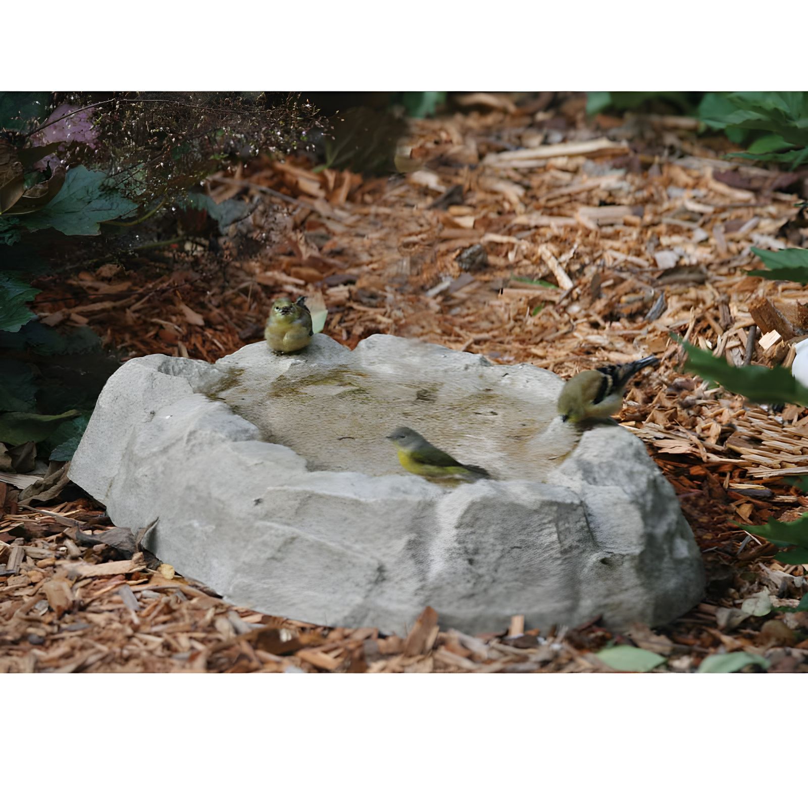 Rocky Mountain Gray Resin Ground Bird Bath