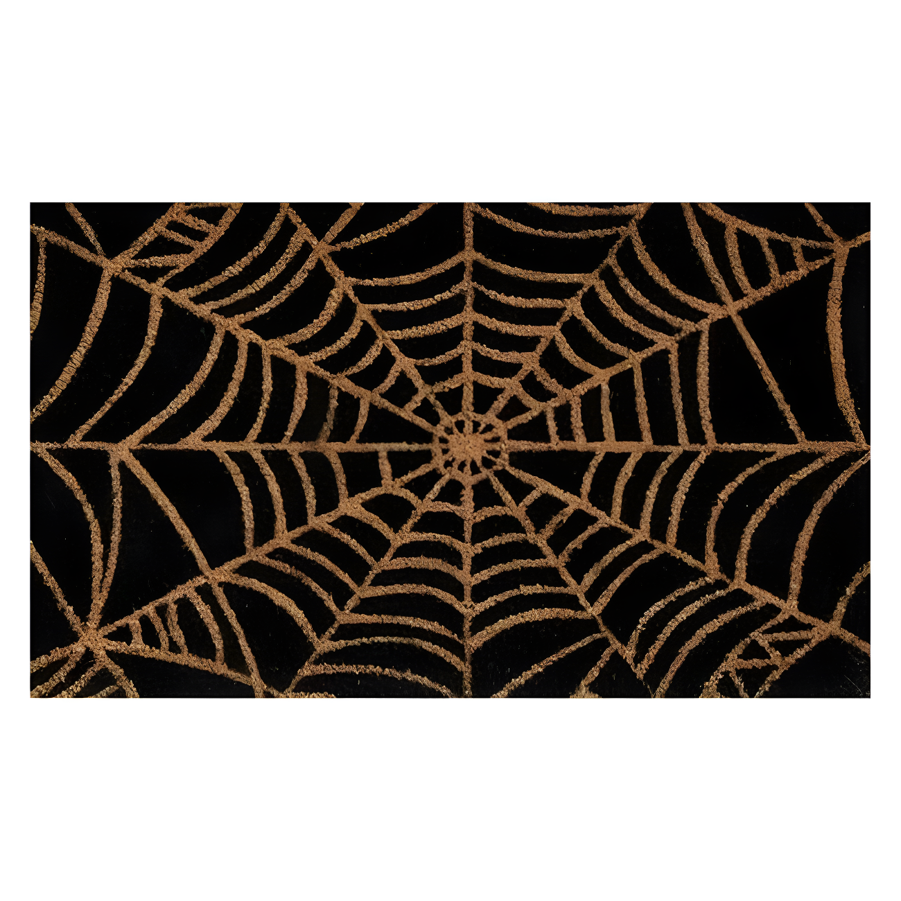 Natural and Black Coir Spider Web Outdoor Doormat 17" x 29"