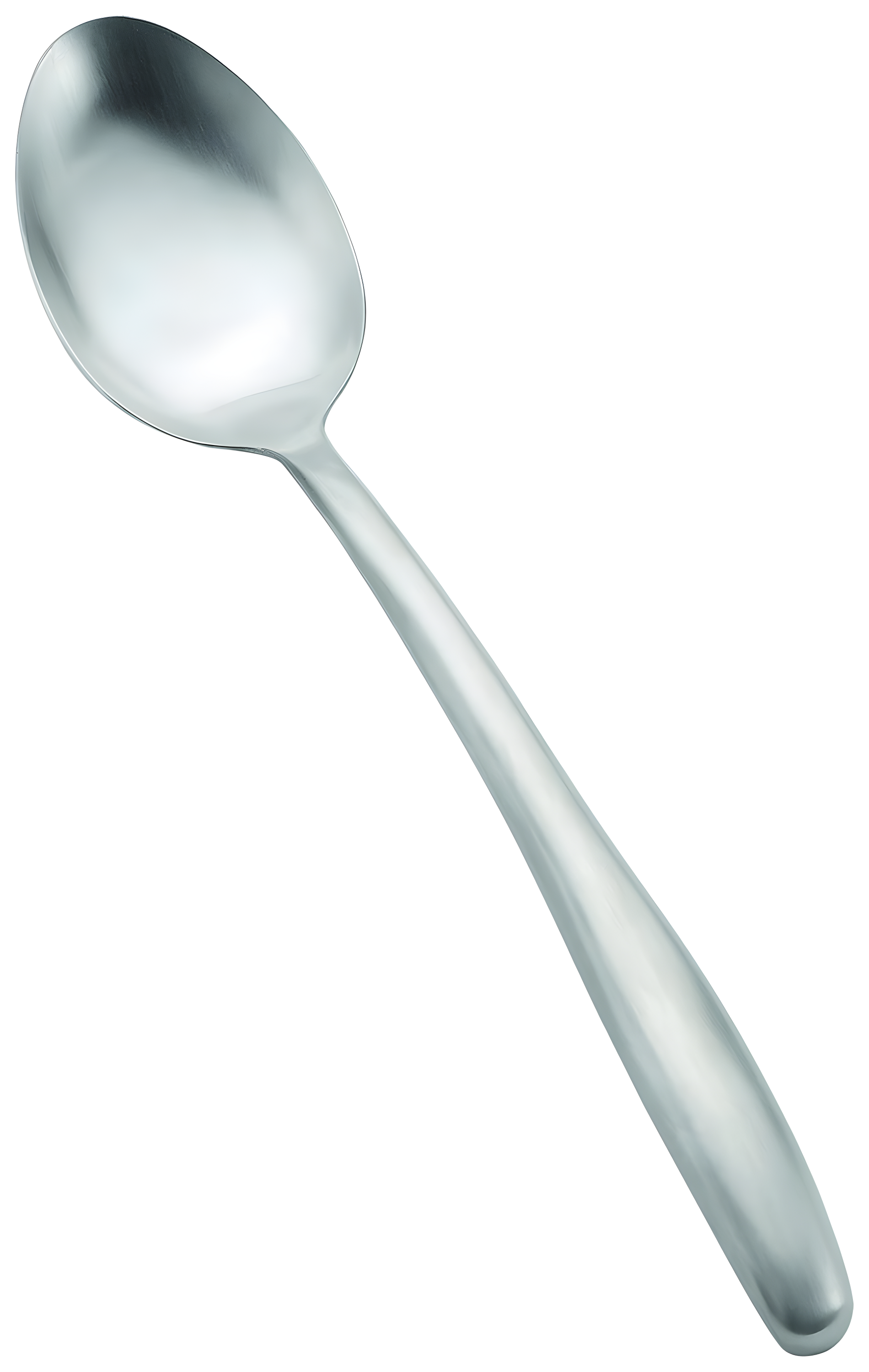 Dalton Stainless Steel Solid Serving Spoon with Hollow Handle