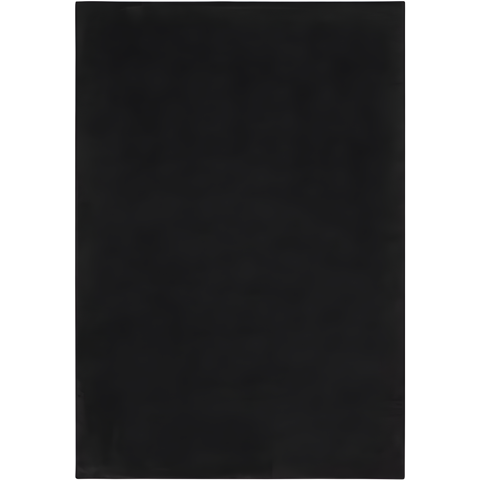 Black Solid Synthetic Reversible 4' x 6' Area Rug