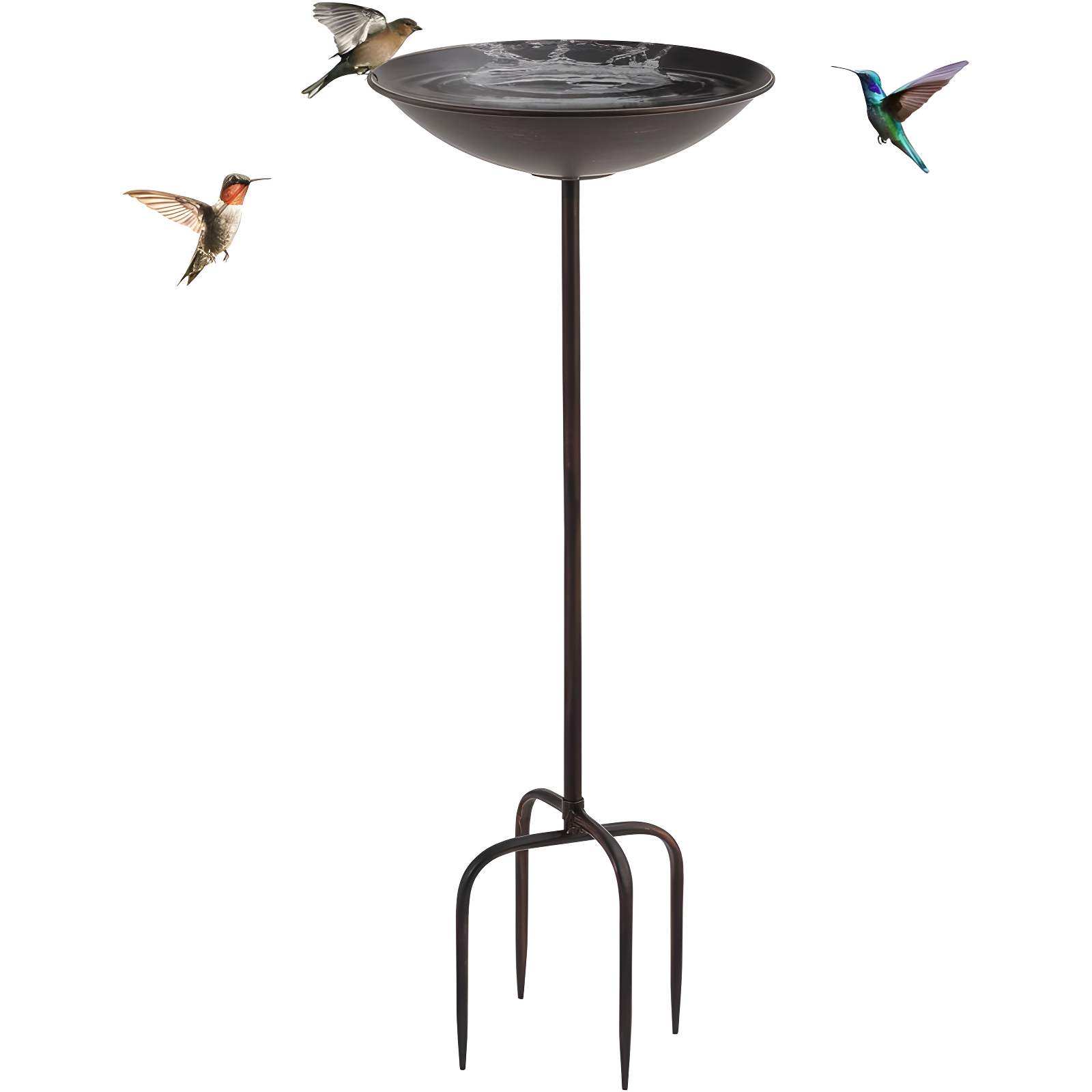 29'' Black Metal Freestanding Bird Bath with 4 Prong Base