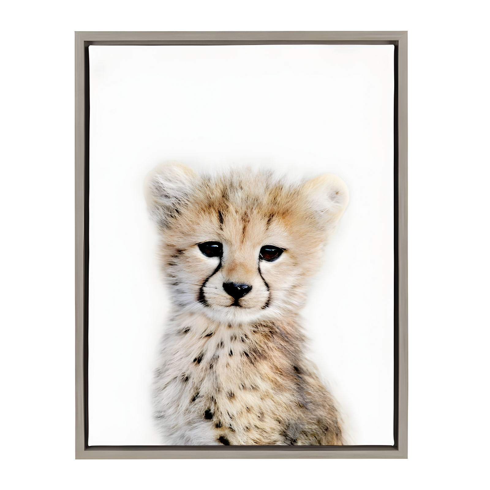 Baby Cheetah Portrait Framed Canvas Wall Art