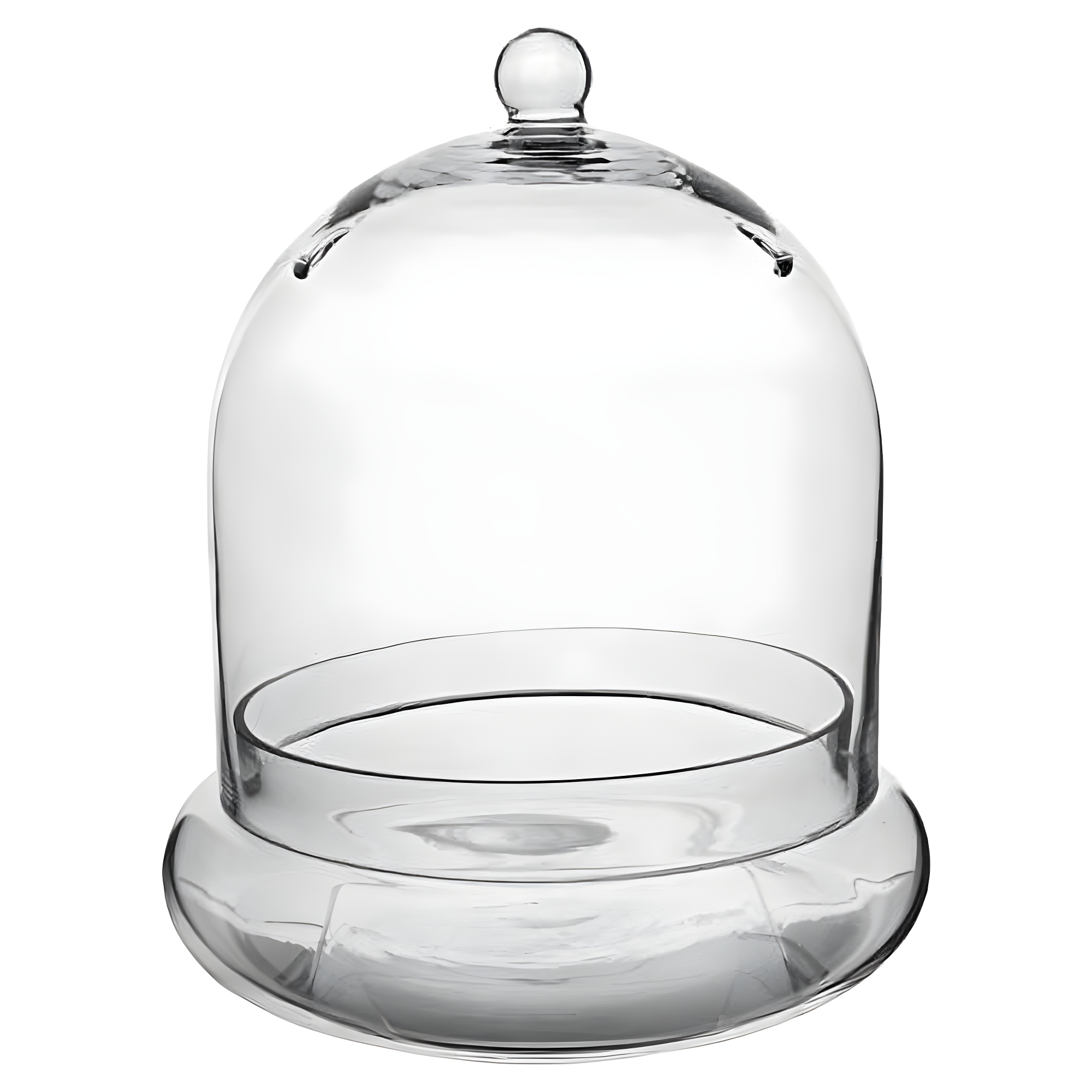 Large Clear Glass Terrarium Cloche with Air Holes