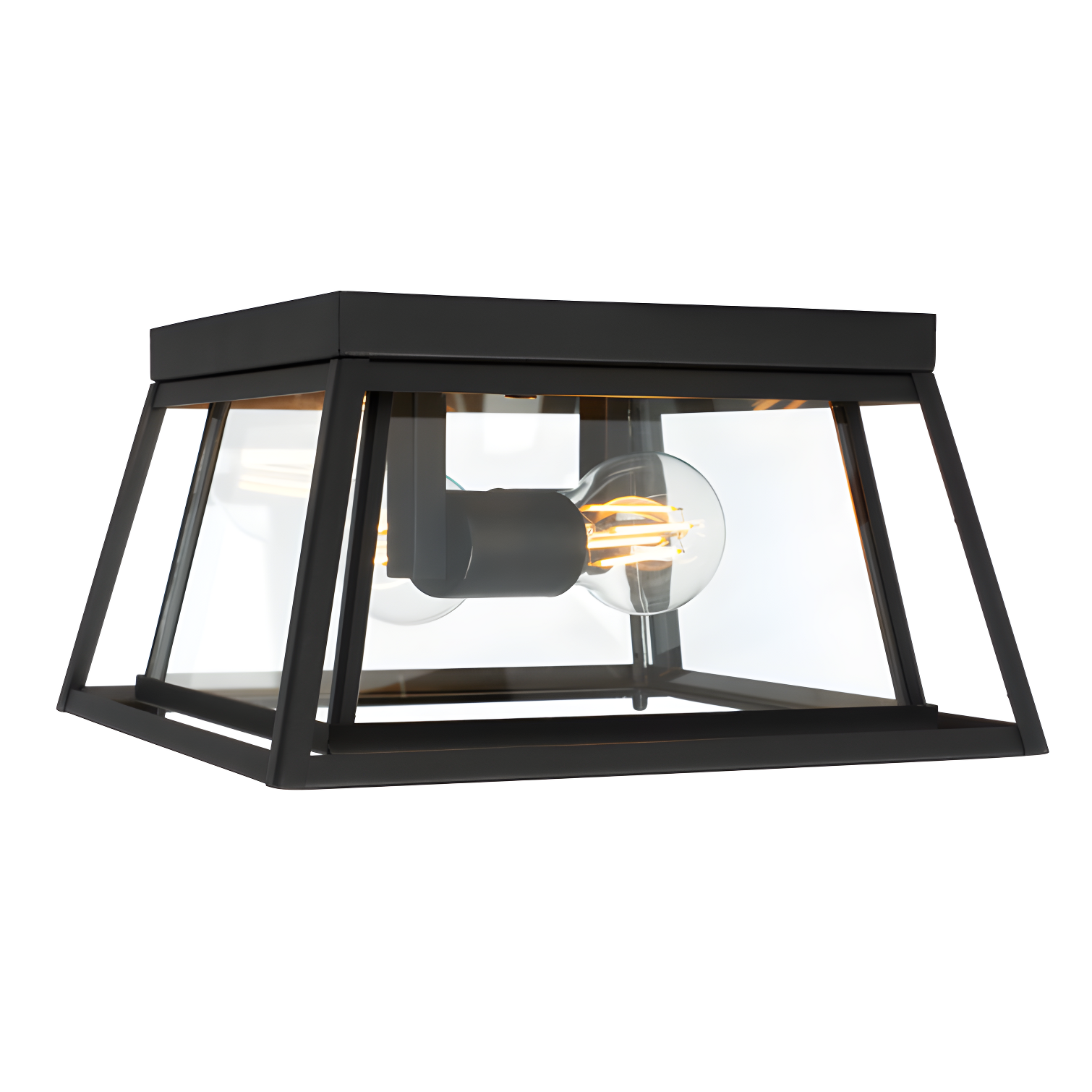 Rydler Black Glass Indoor/Outdoor Flush Mount Light