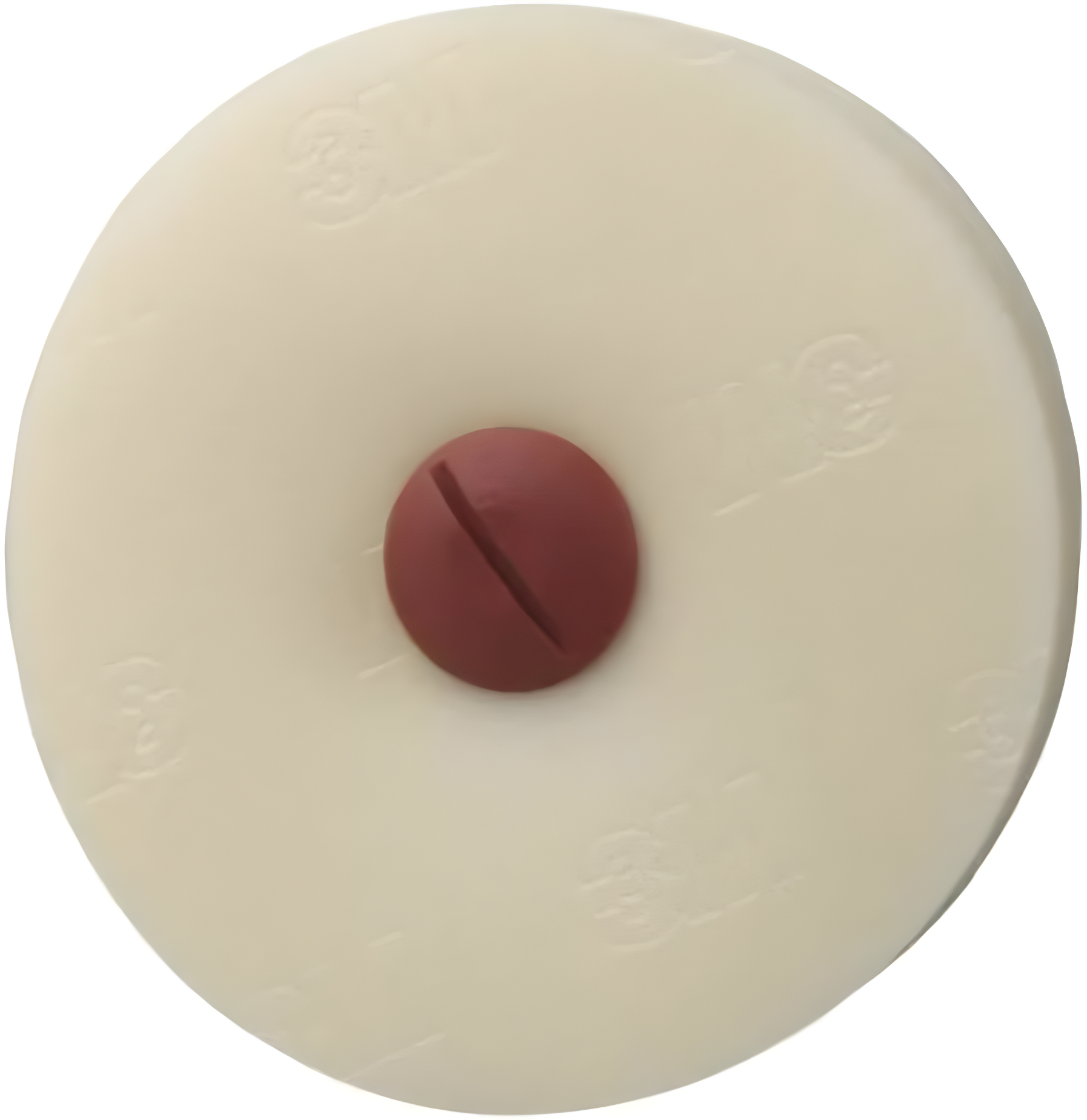 3M White 4-inch Scotch-Brite Adhesive Removal Disc