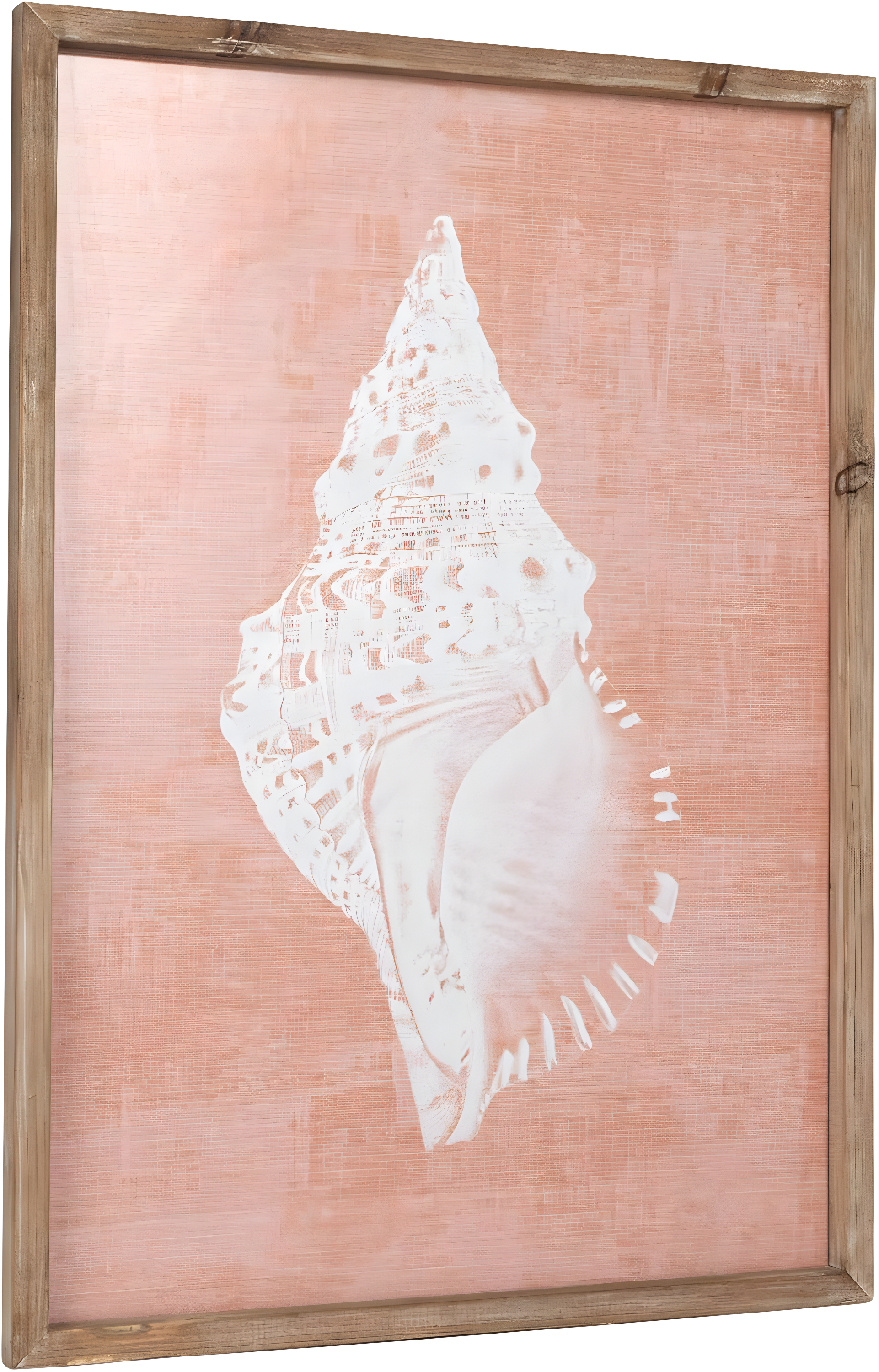 Coral Conch Shell Wood and Glass Coastal Wall Art