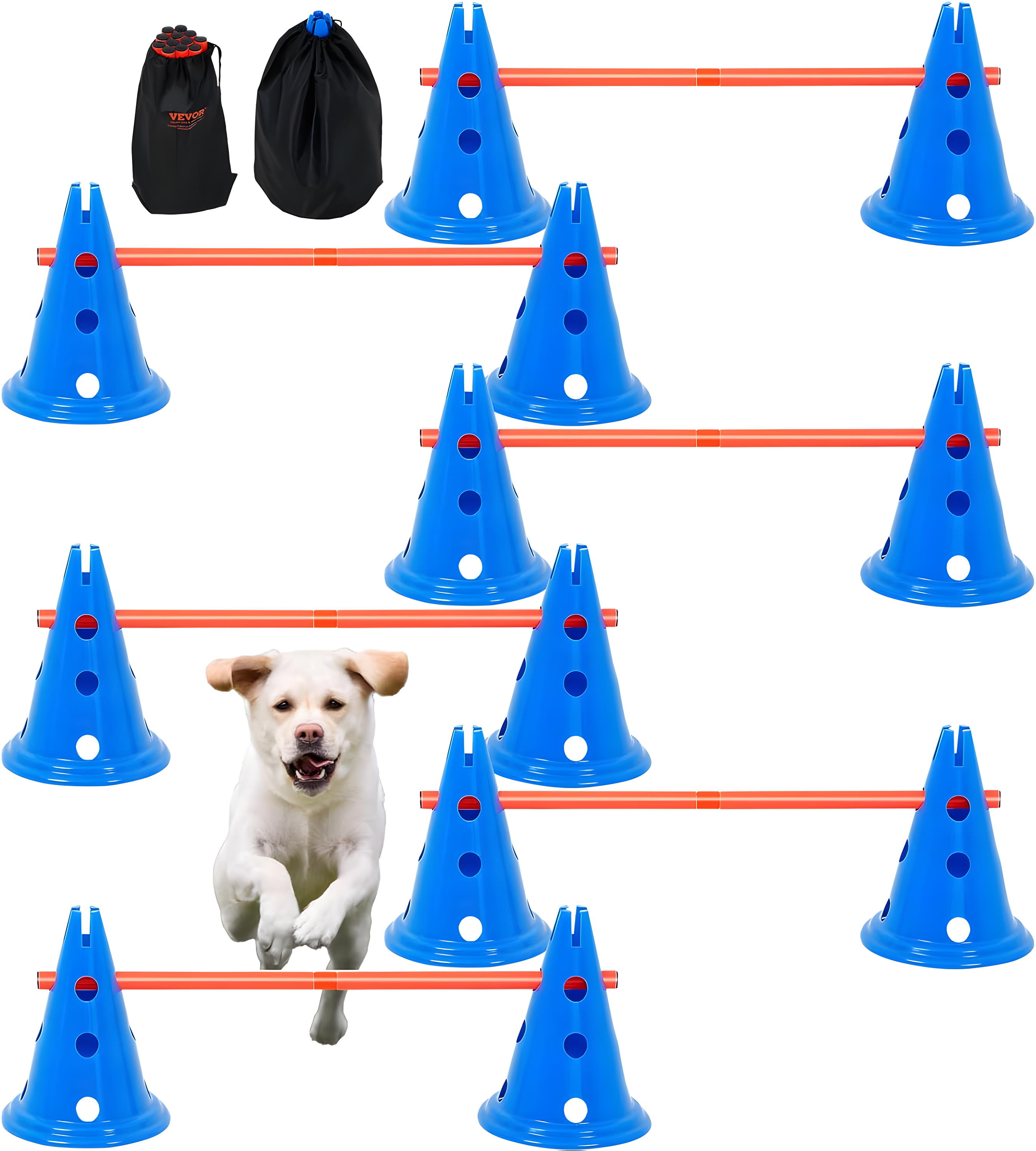 Blue and Orange PVC Dog Agility Hurdle Cone Set