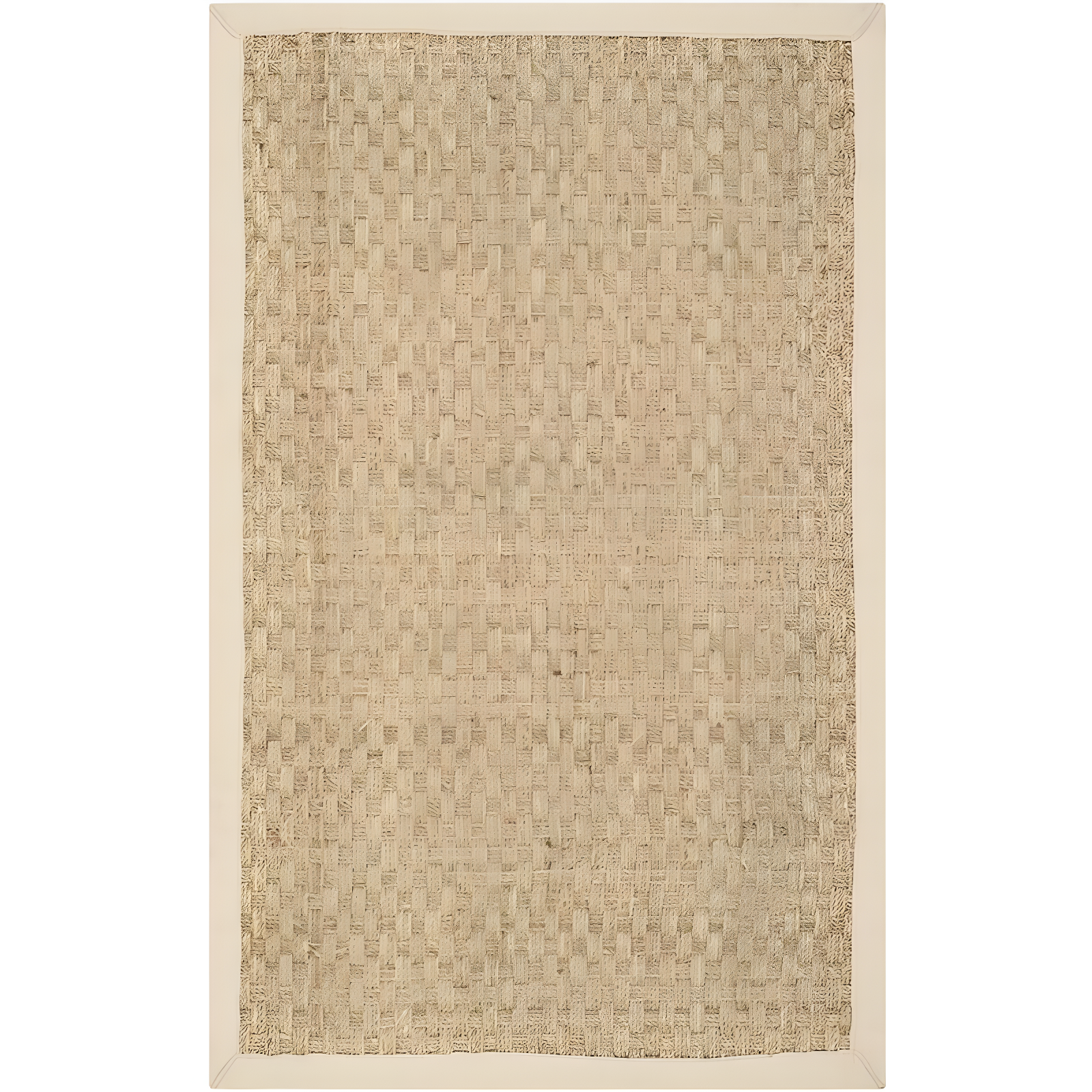 Natural Beige Seagrass and Cotton Border Area Rug 2' x 3'