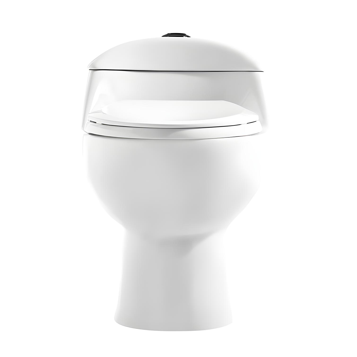 Chateau White Ceramic Elongated Dual Flush Toilet