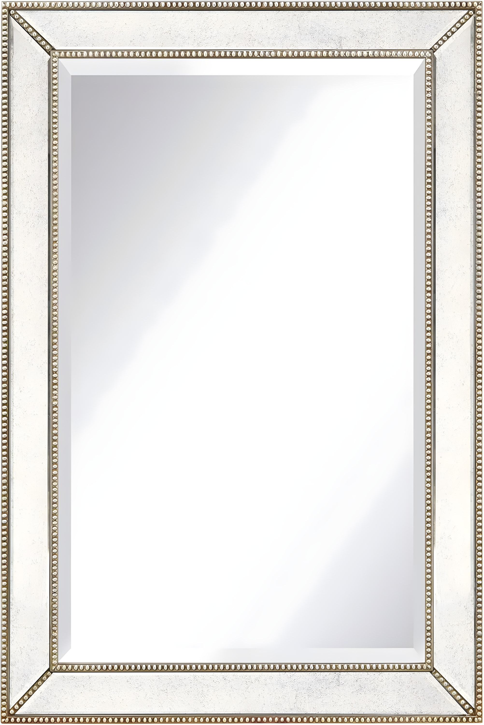 Champagne Bead Embossed Full Length Wall Mirror