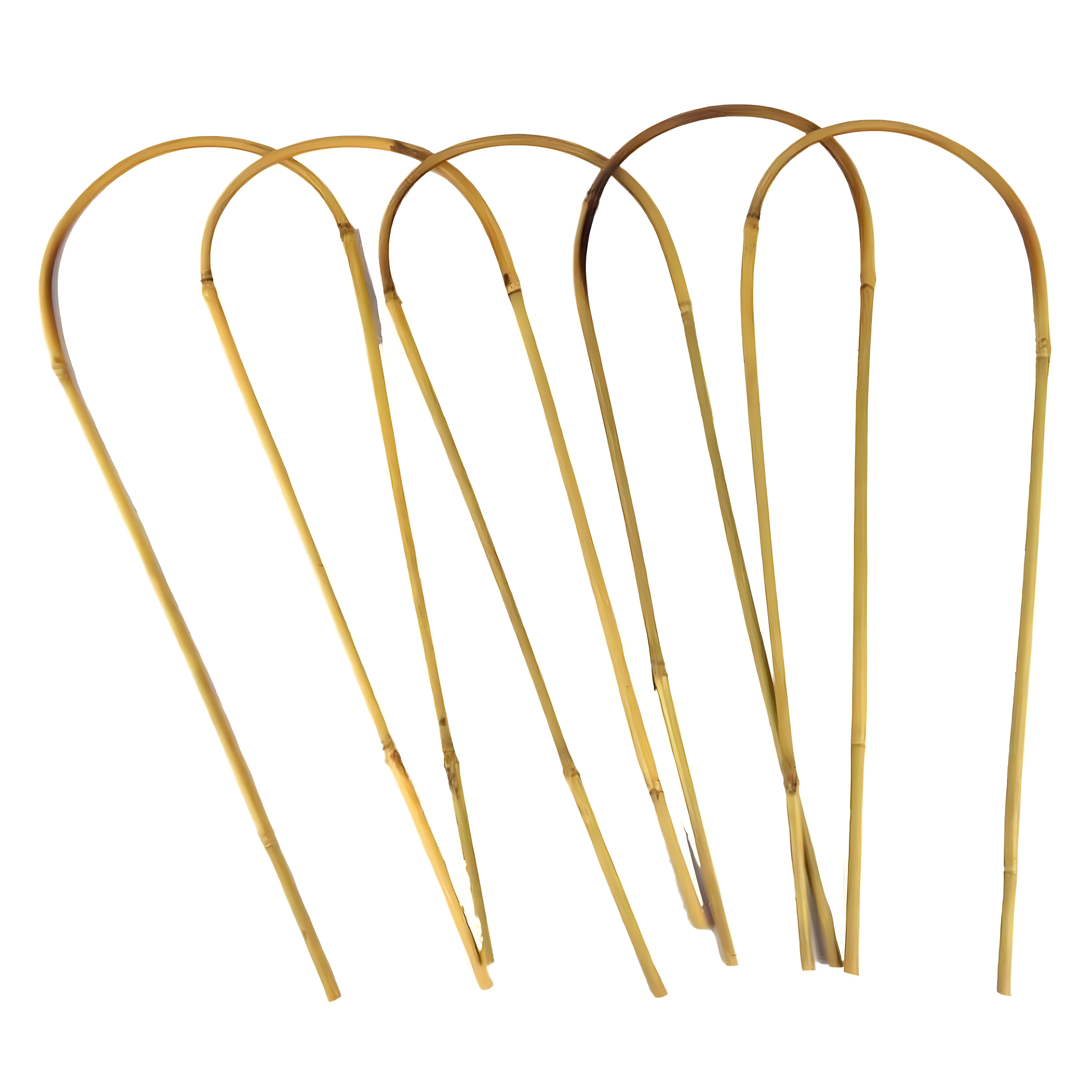 Eastern Star 16 in. Bamboo U Trellis Stakes - Pack of 5