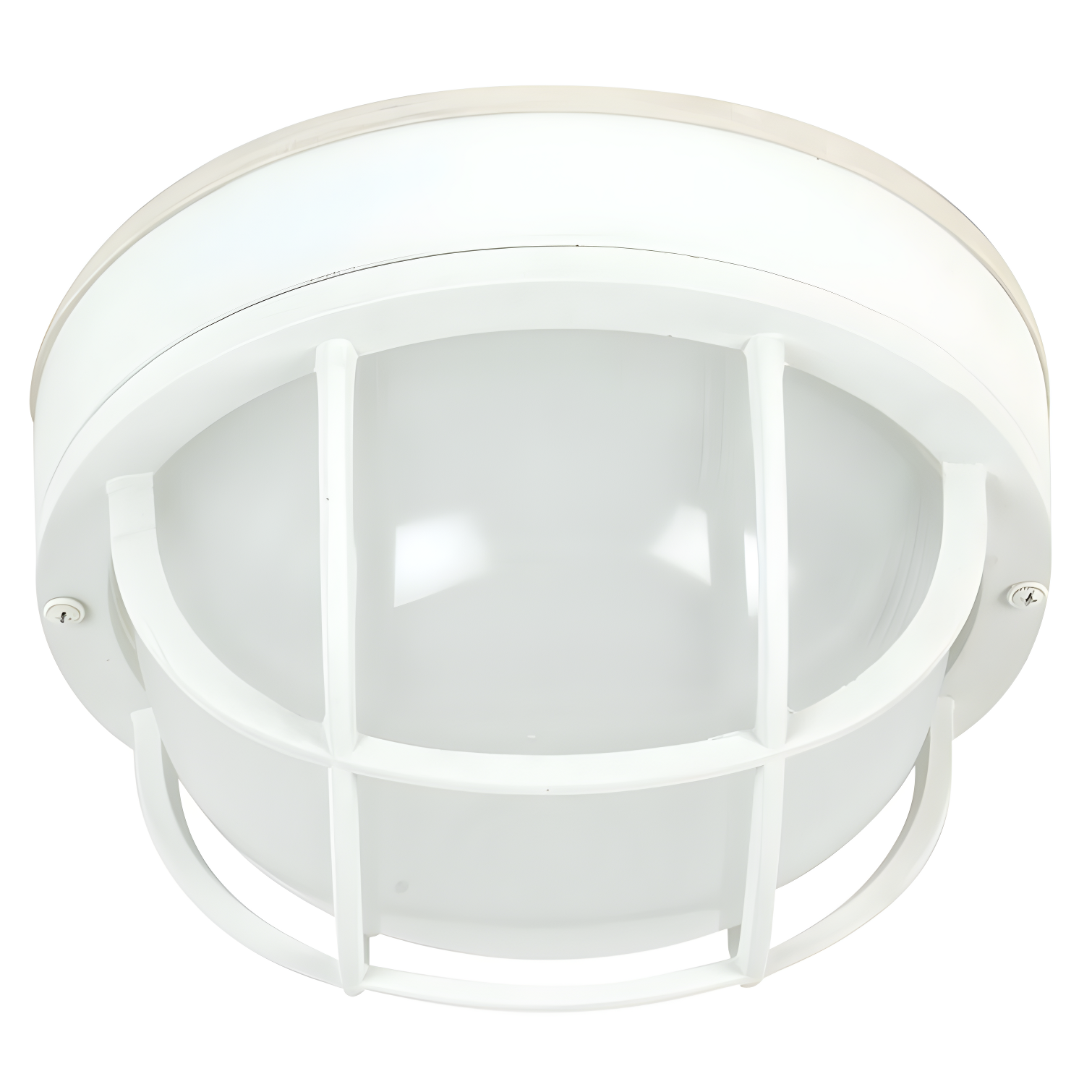 Matte White Glass and Stainless Steel Outdoor Flush Mount Light