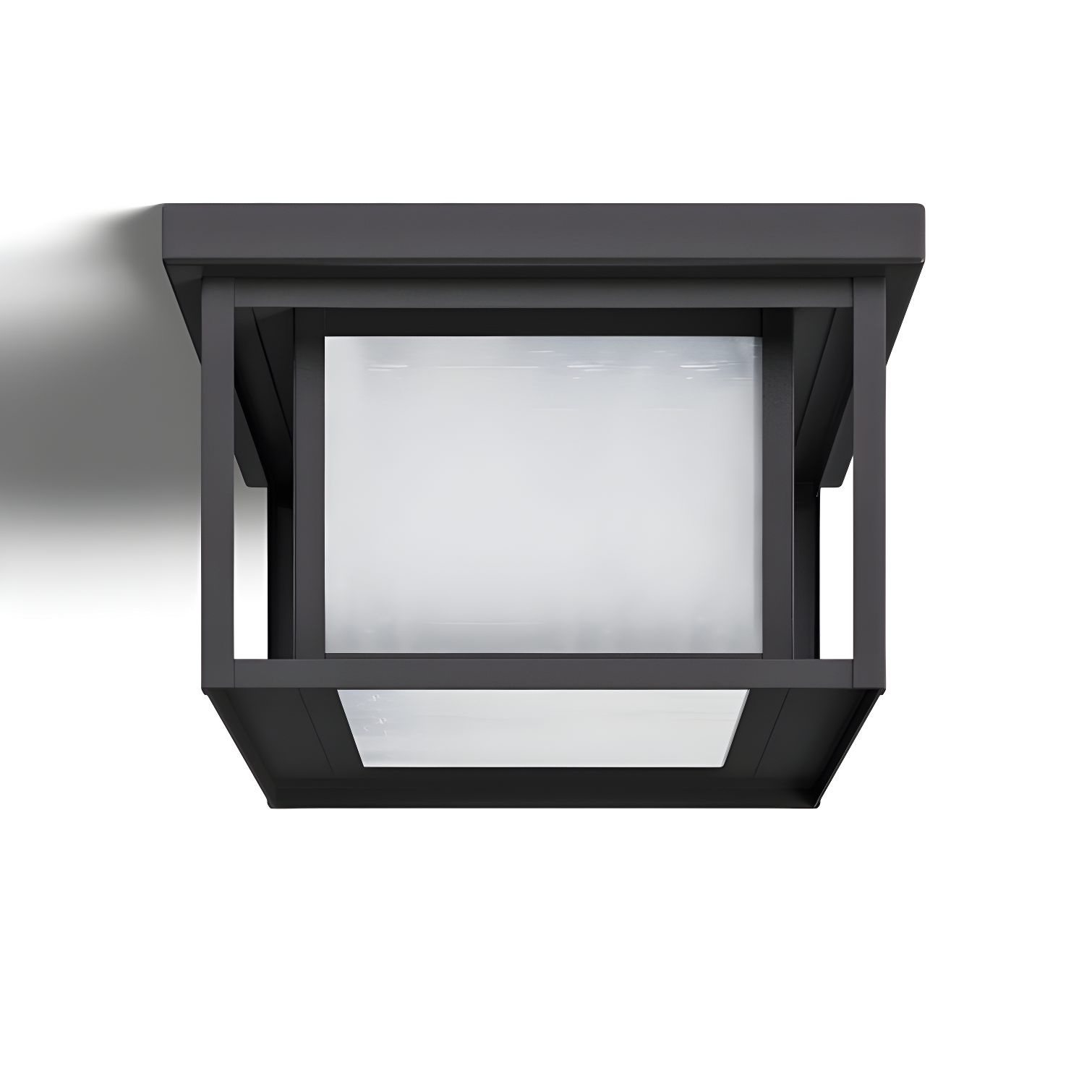 Transitional Hunnington Black Etched Seeded Glass 2-Light Outdoor Flush Mount