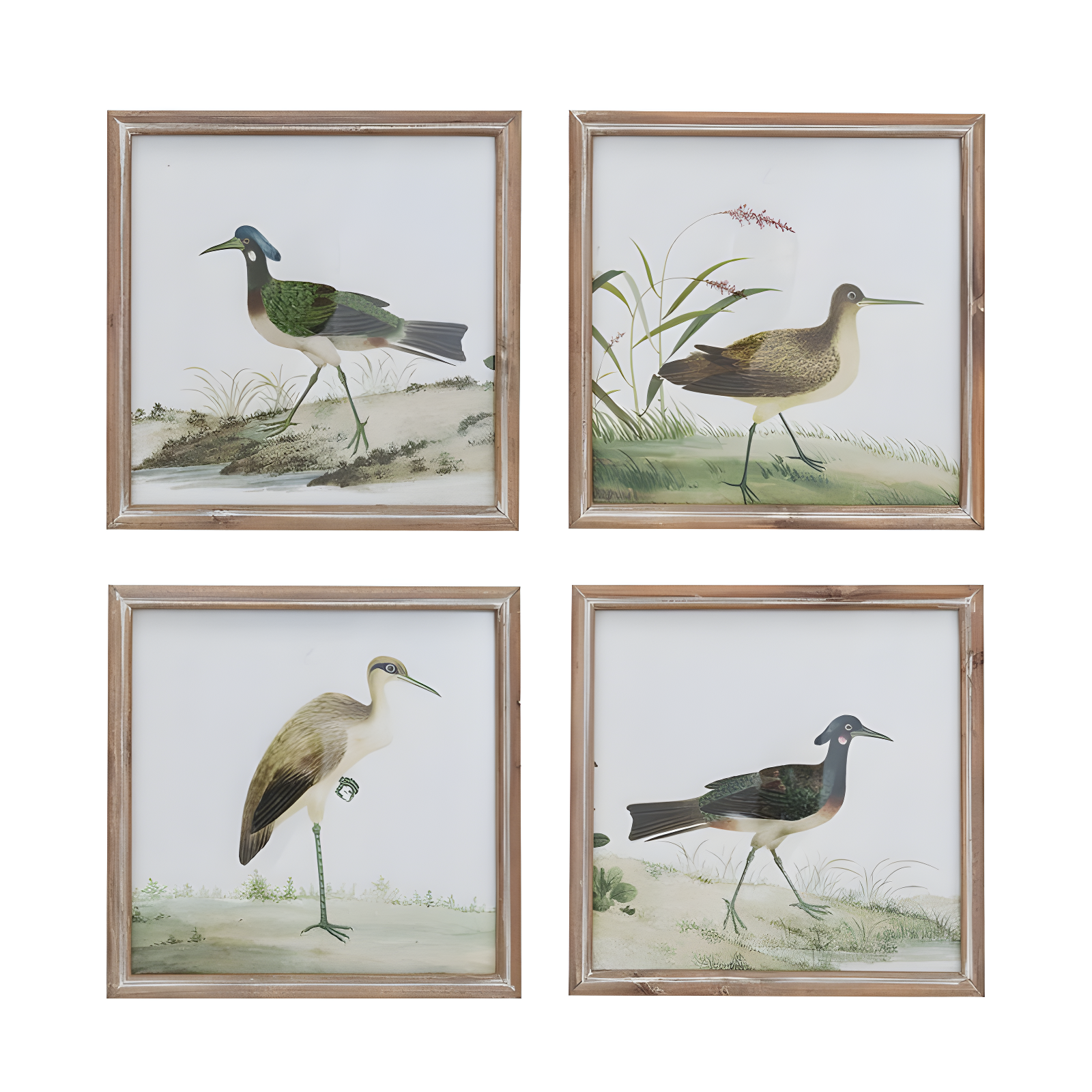 Set of 4 Reclaimed Wood Framed Bird Prints