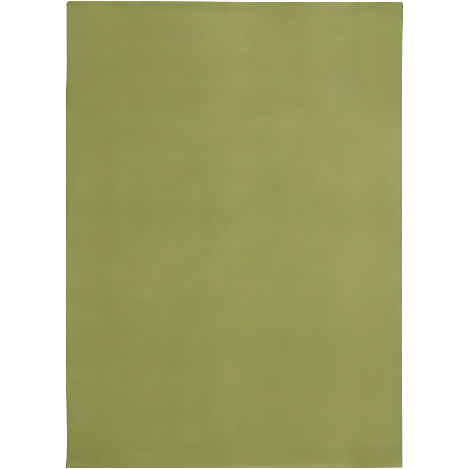 Green Rectangular 6' x 9' Synthetic Reversible Rug