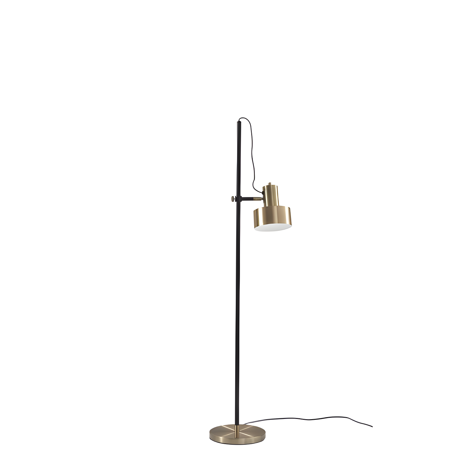 Adjustable Matte Black and Brass Metal Floor Lamp