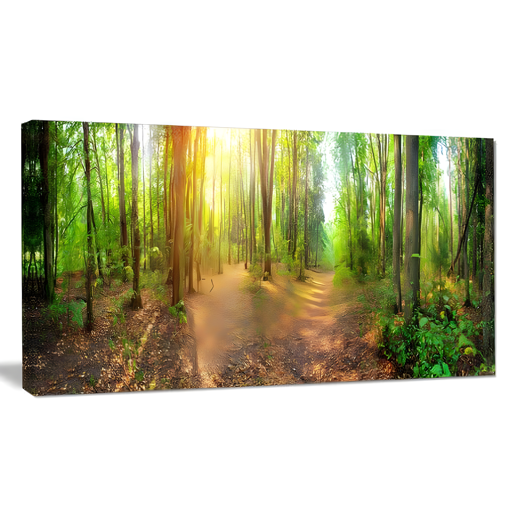 Dense Forest Panorama Landscape Canvas Art Print