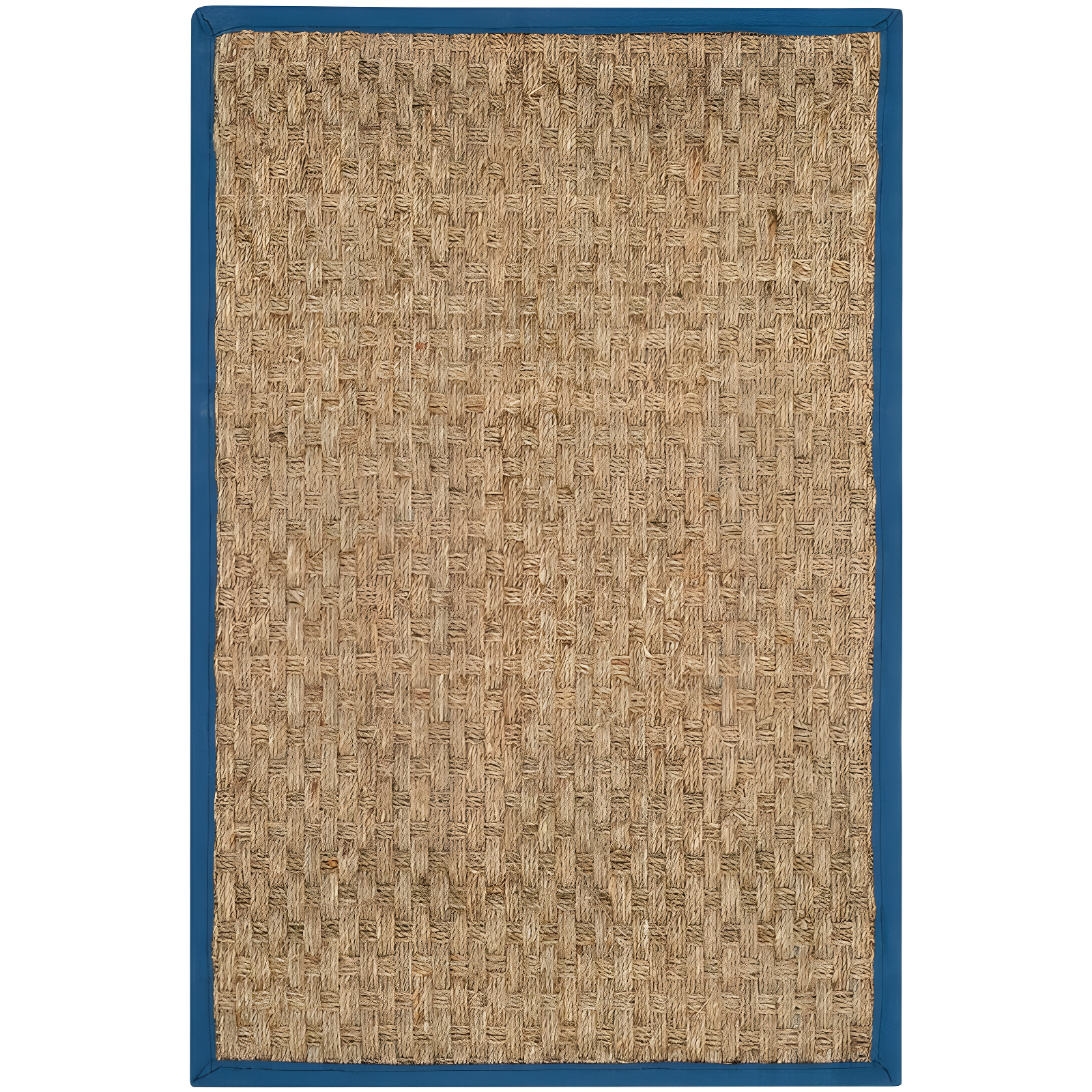 Natural Jute and Cotton Border Area Rug 2'6" x 4'