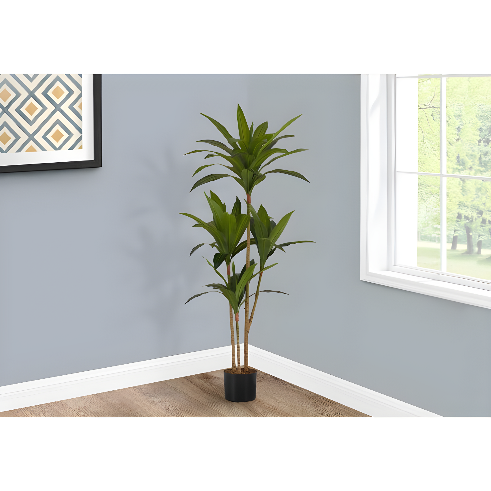 51-Inch Tall Green Dracaena Tree in Black Pot