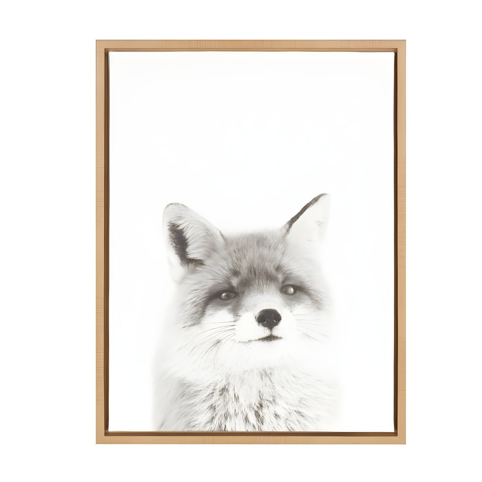 Natural Framed Black and White Fox Canvas Print for Kids