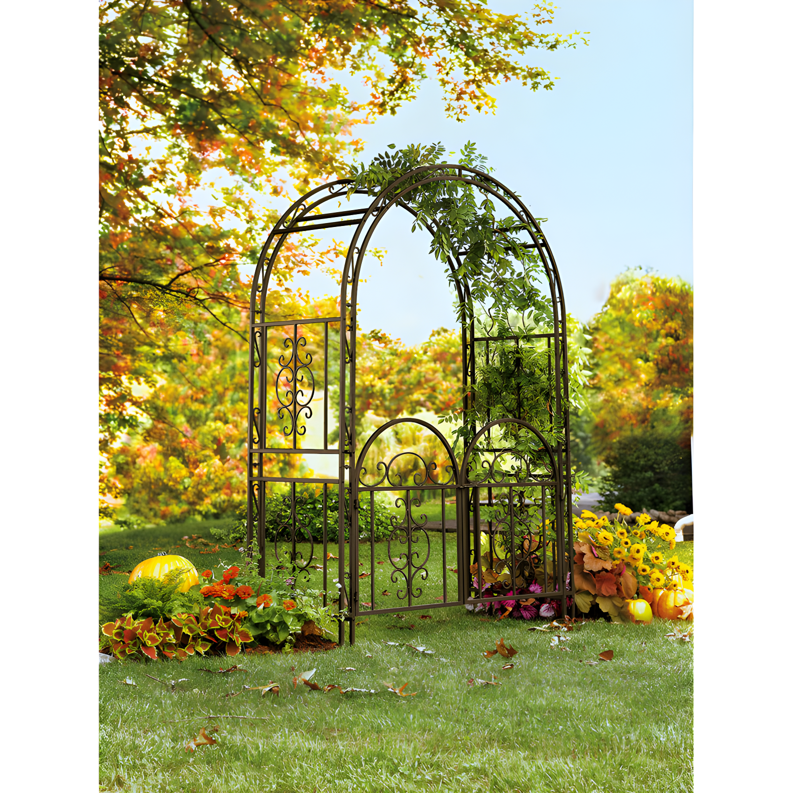 Montebello Black Iron Garden Arbor with Gate and Scrollwork