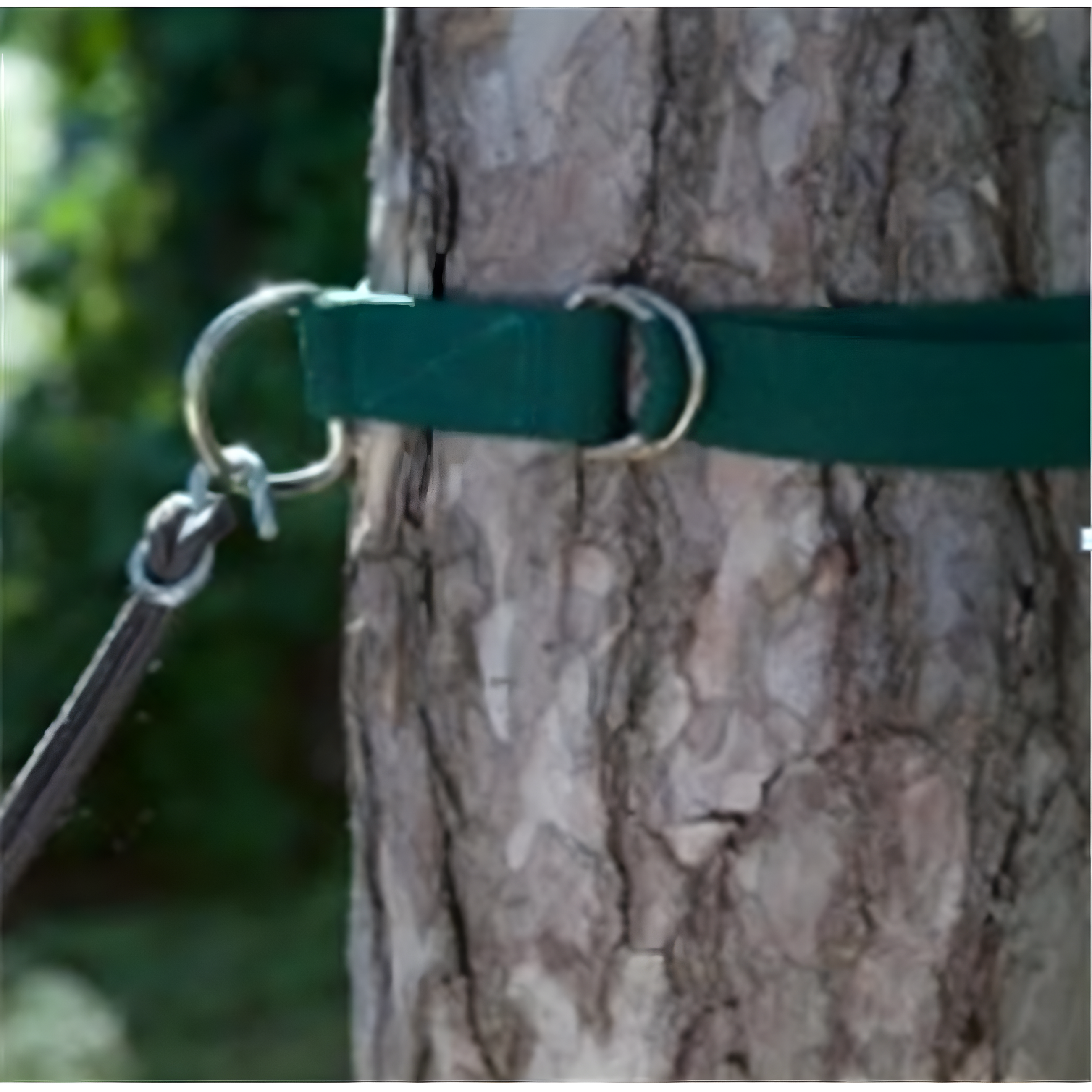 Green Polyester Tree Hugger Hammock Straps Set