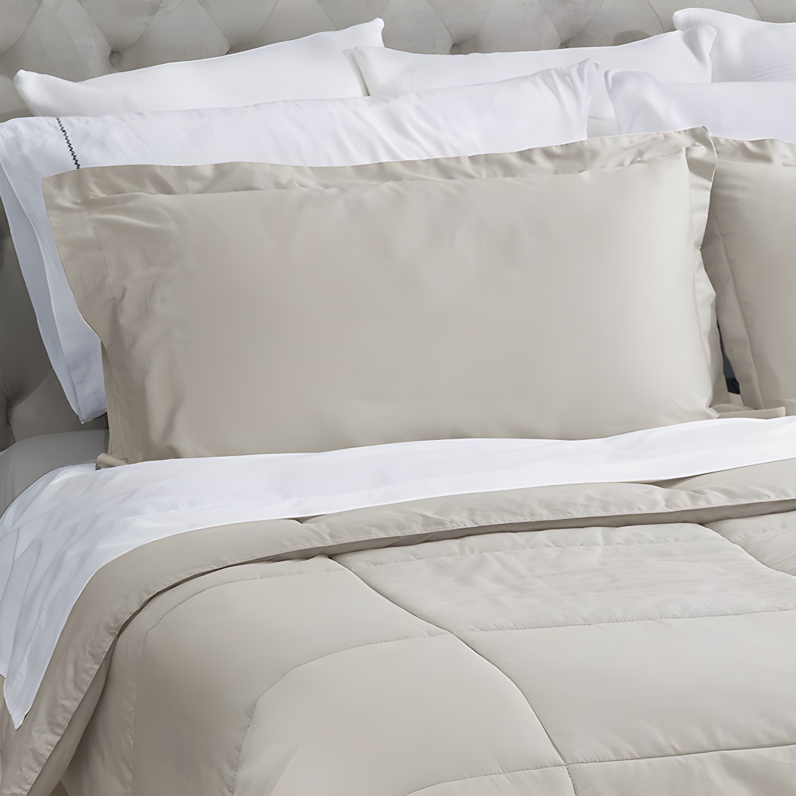 Natural Cotton Hypoallergenic Standard/Queen Sham Set