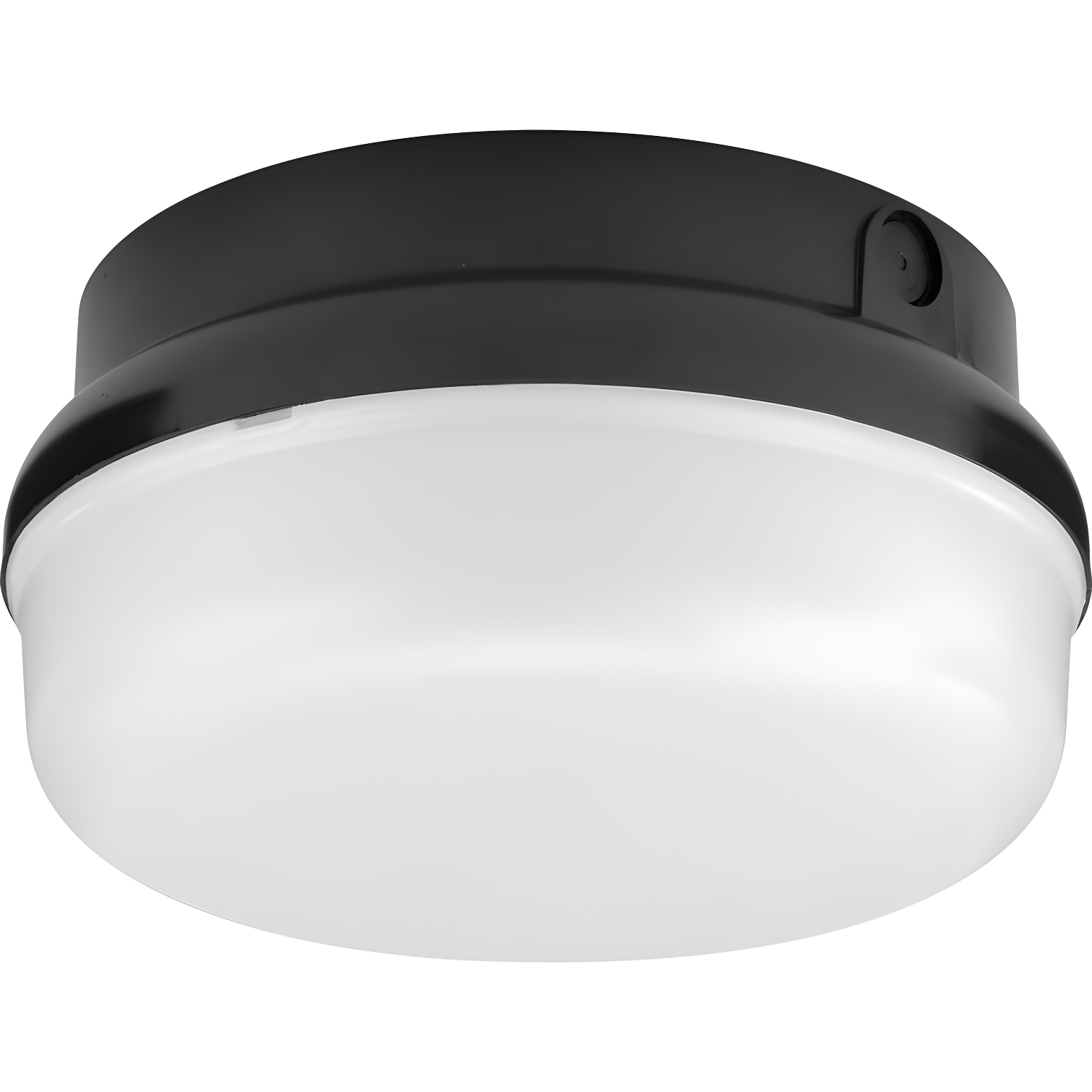 Black and White Round LED Indoor/Outdoor Flush Mount Light