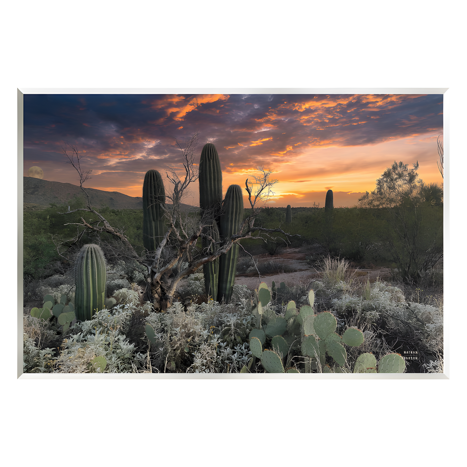 Arid Desert Cactus Sunset Wood Wall Art