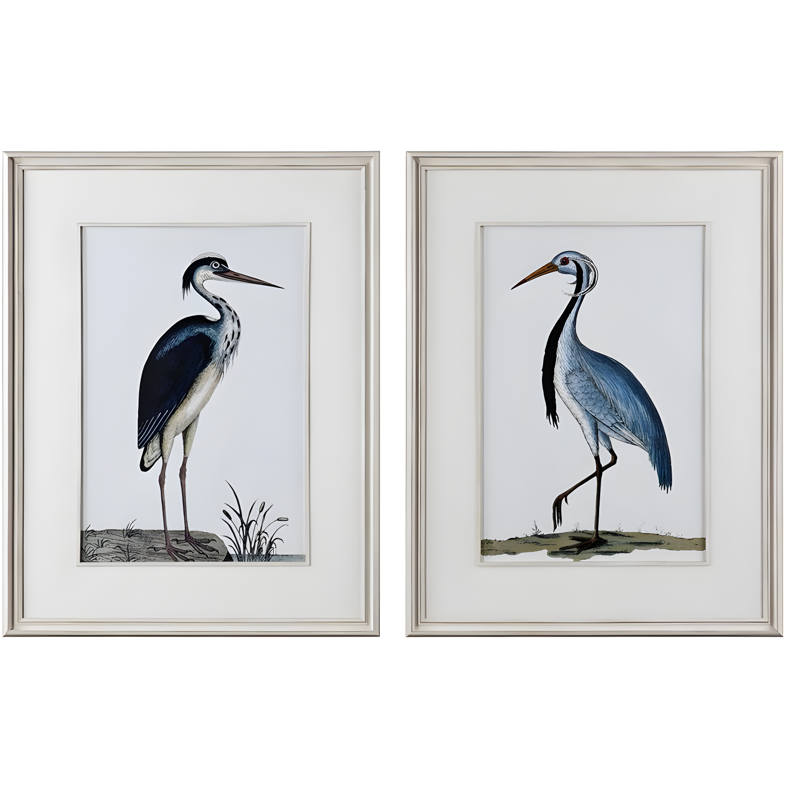 Coastal Multicolor Heron Framed Canvas Art Set