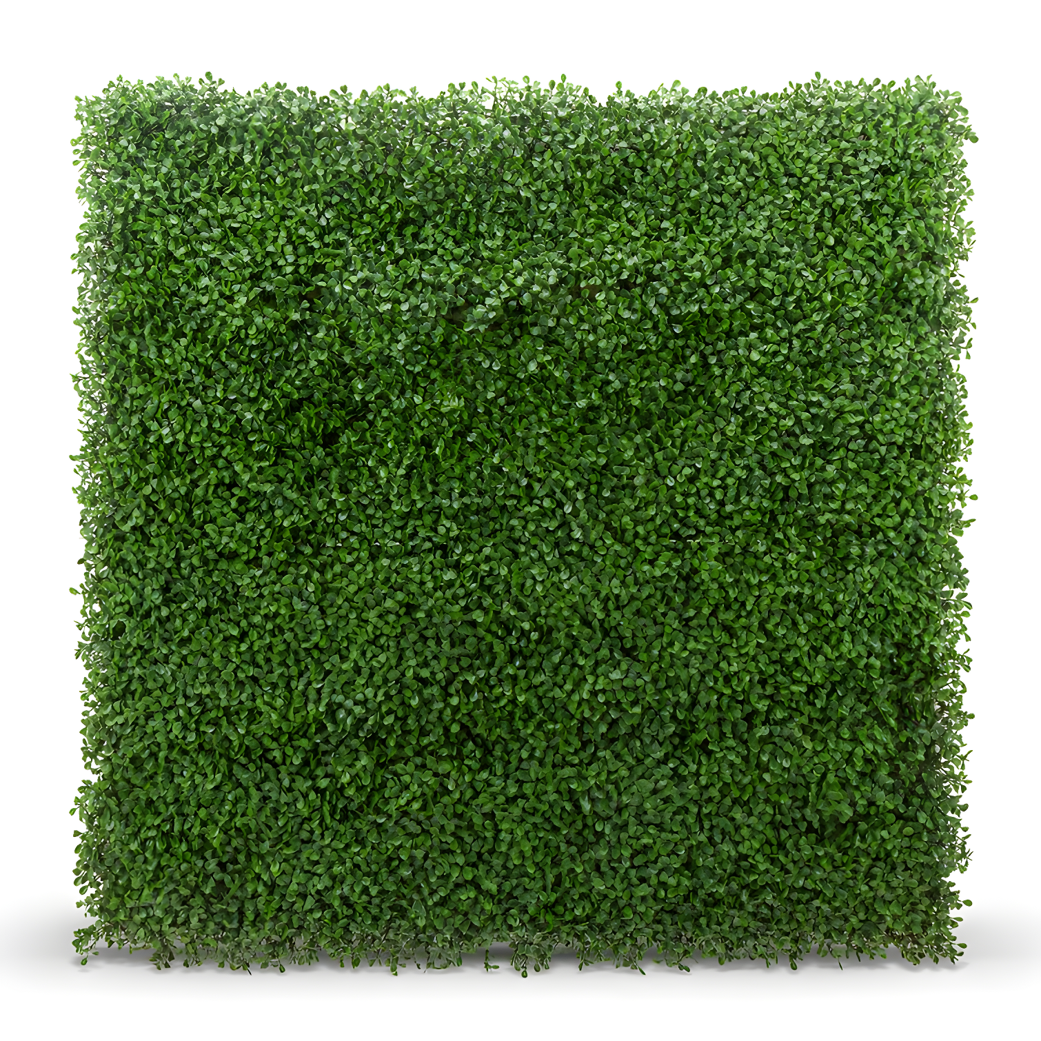 Outdoor Green Boxwood Artificial Privacy Screen Panels