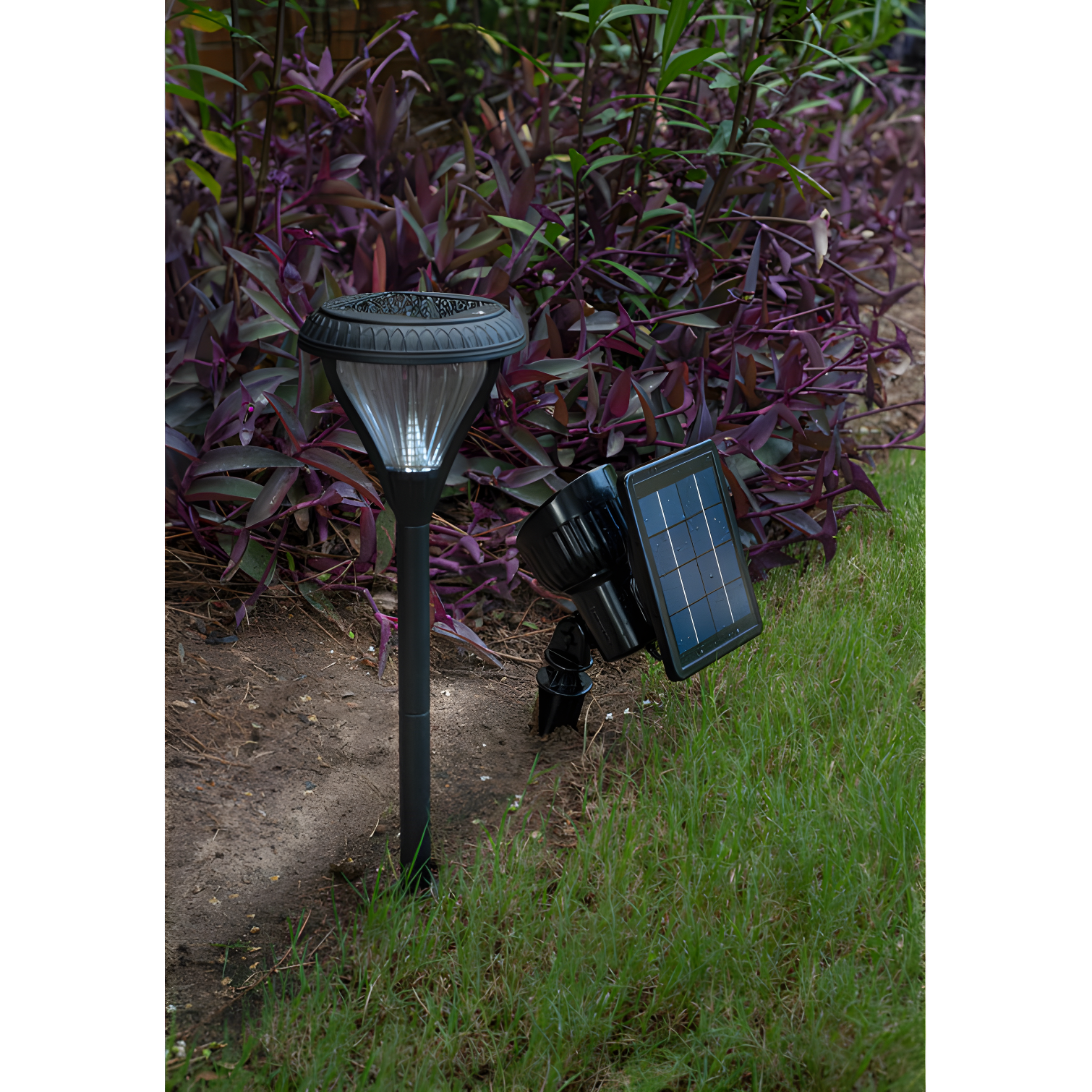 Progressive Warm White LED Solar Powered Landscape Spotlight