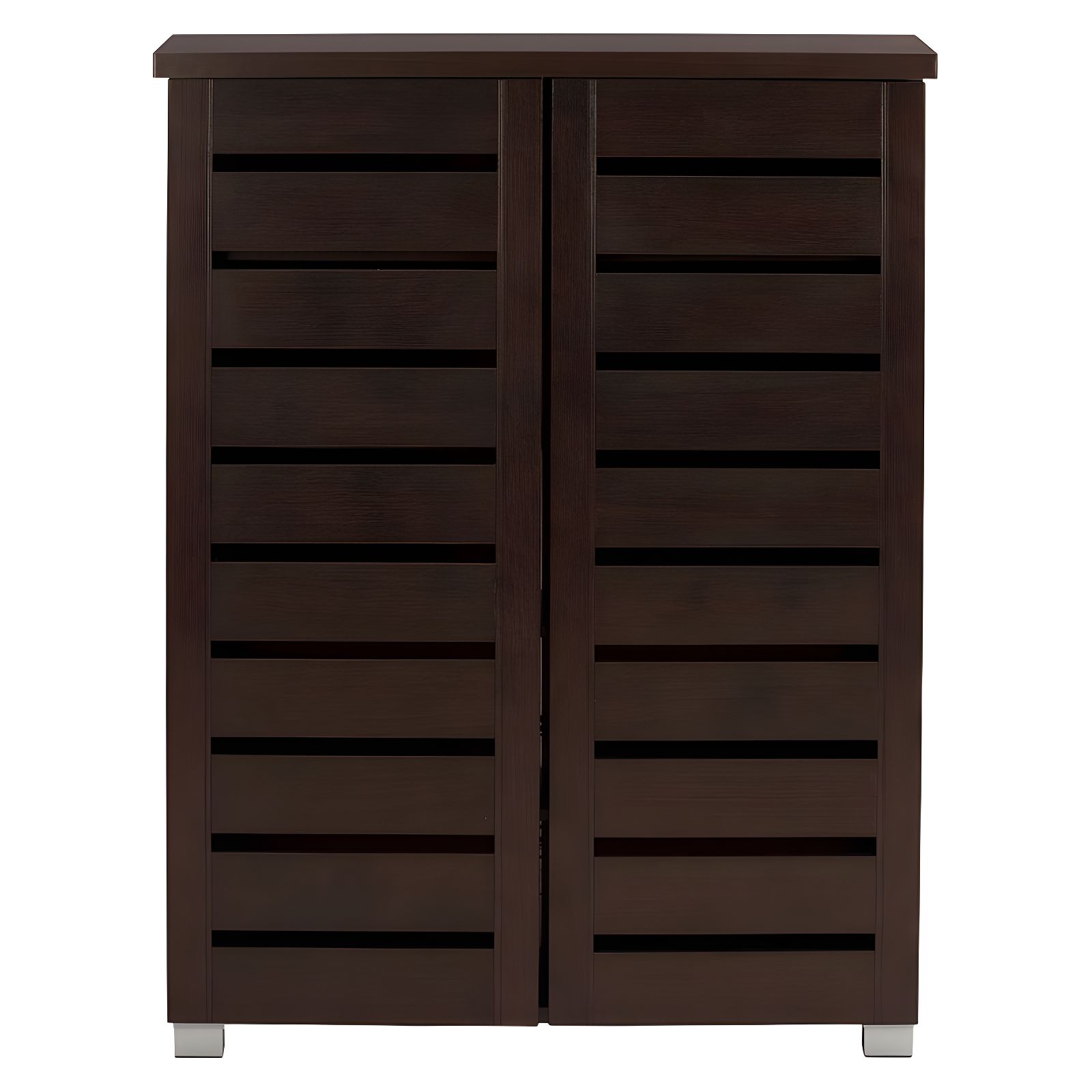 Adalwin Dark Brown 2-Door Wooden Shoe Storage Cabinet