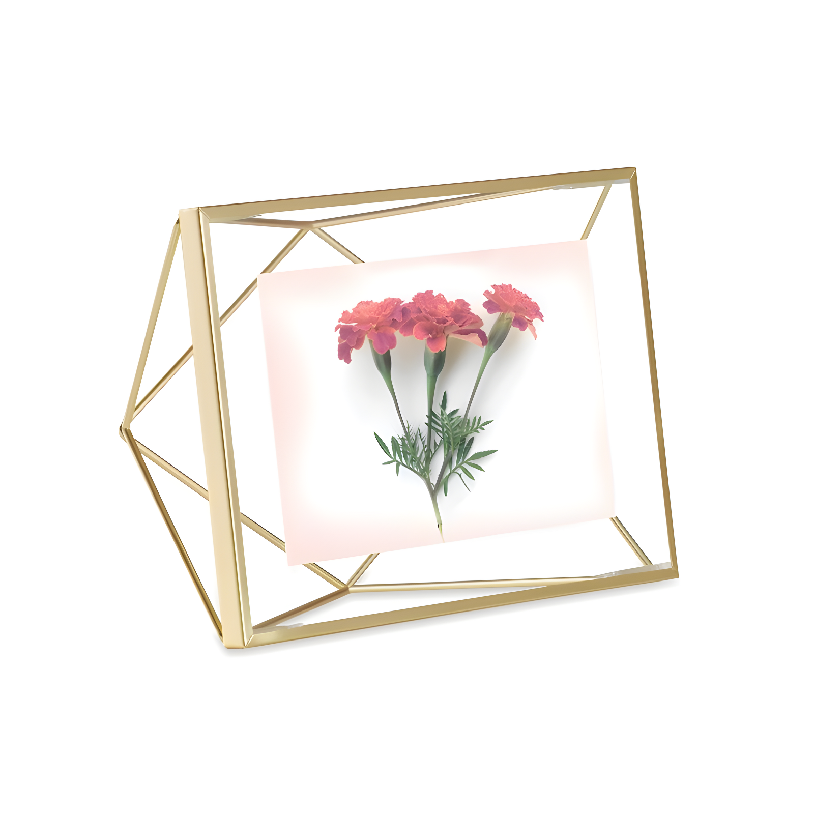 Matte Brass Geometric Floating Picture Frame, 8" x 6"